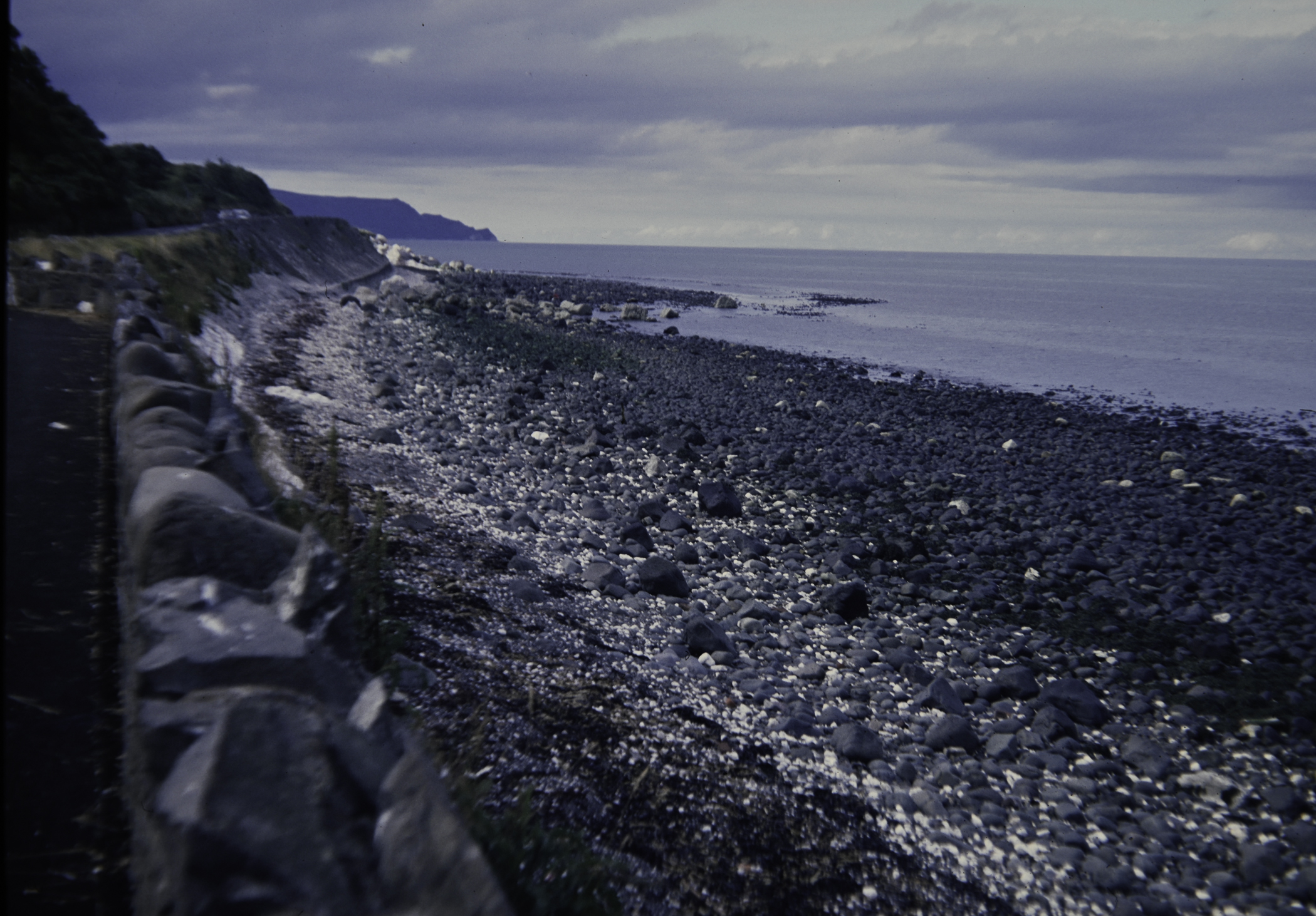 . Site: Drumnagreagh Port, NE Coast. 