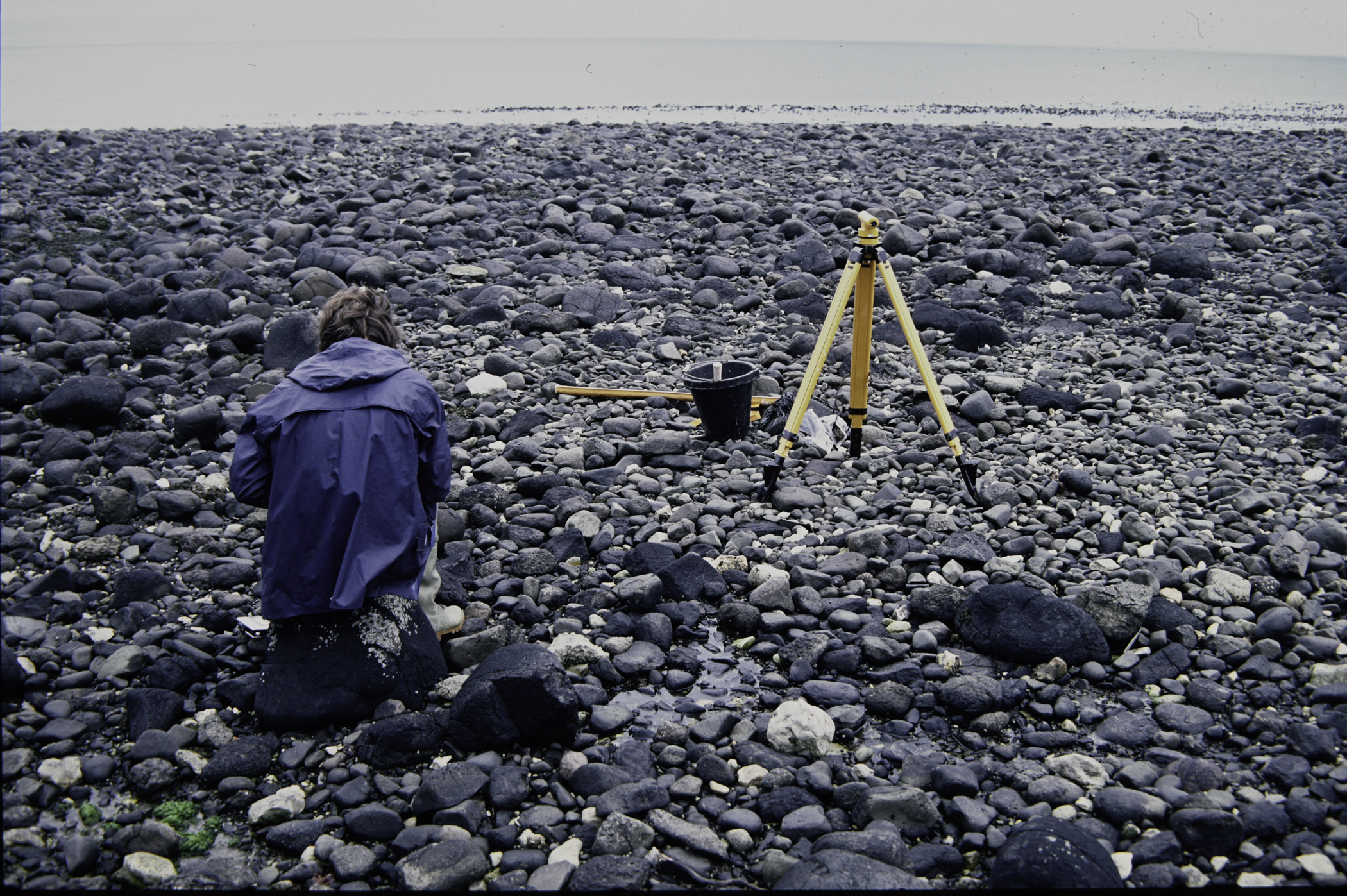 . Site: Drumnagreagh Port, NE Coast. 