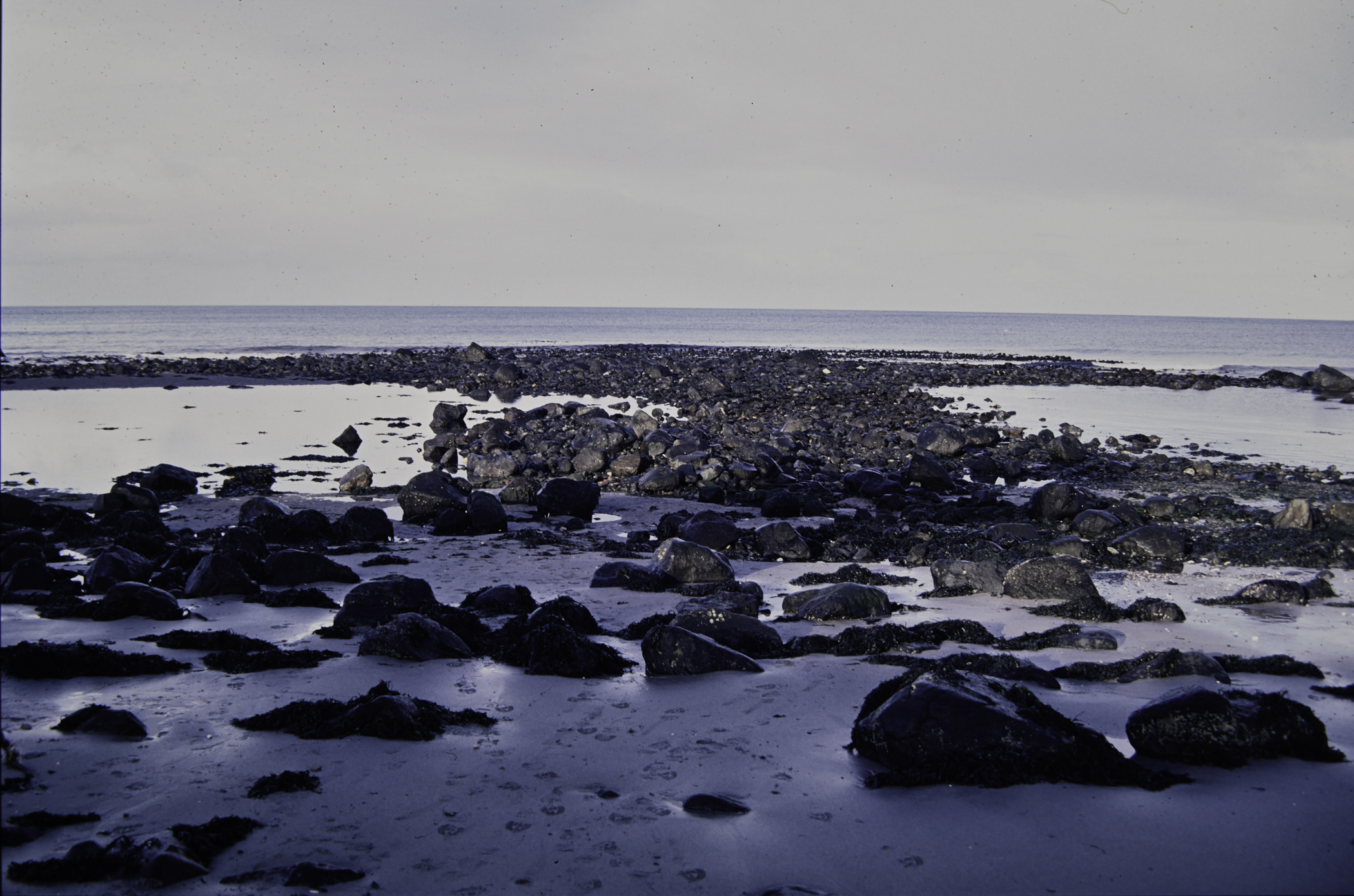 . Site: Halfway House (Ballygalley), NE Coast. 