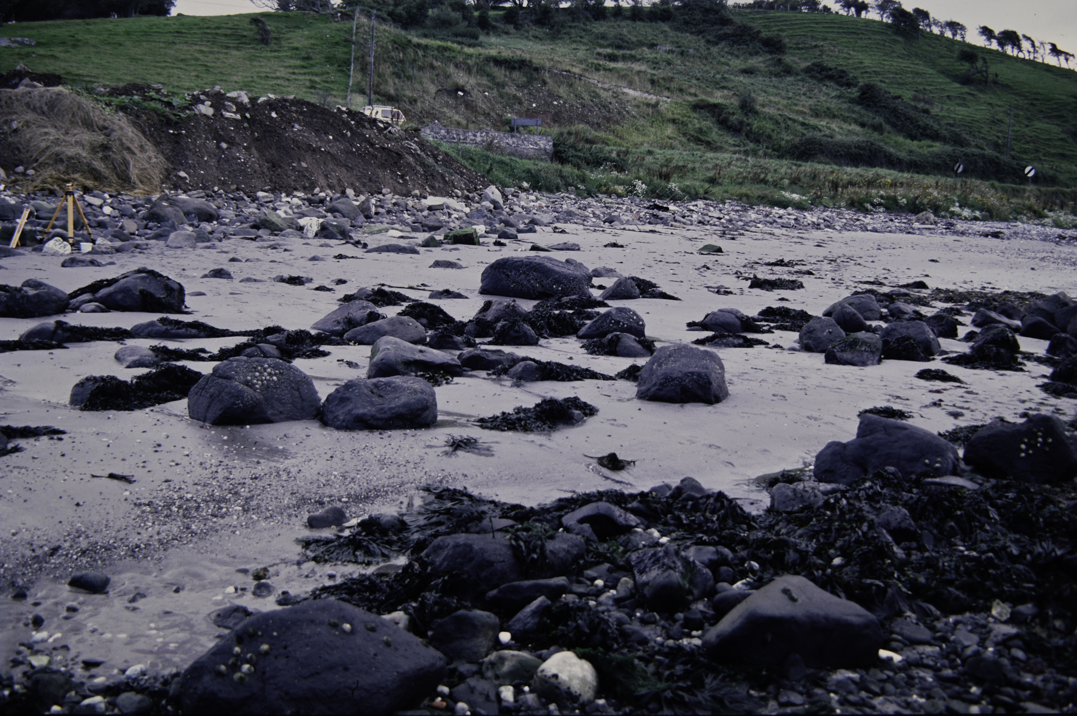 . Site: Halfway House (Ballygalley), NE Coast. 