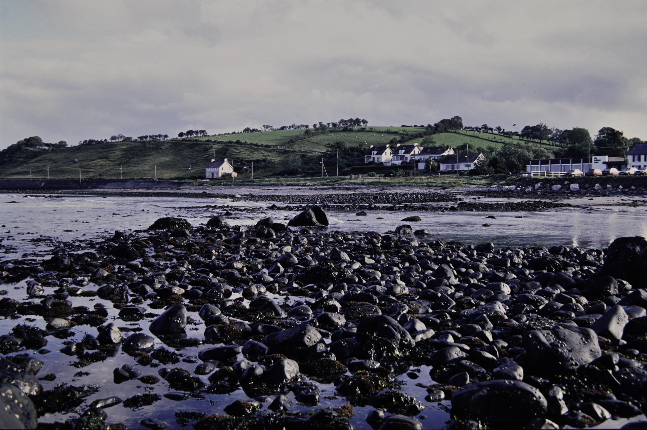 . Site: Halfway House (Ballygalley), NE Coast. 