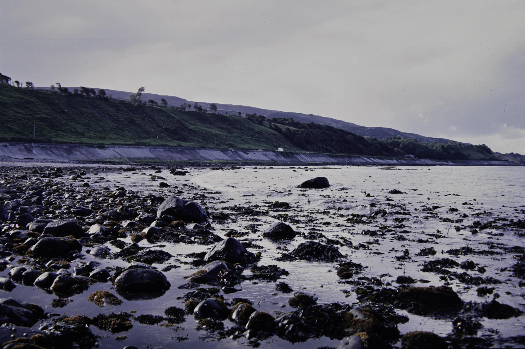 . Site: Halfway House (Ballygalley), NE Coast. 