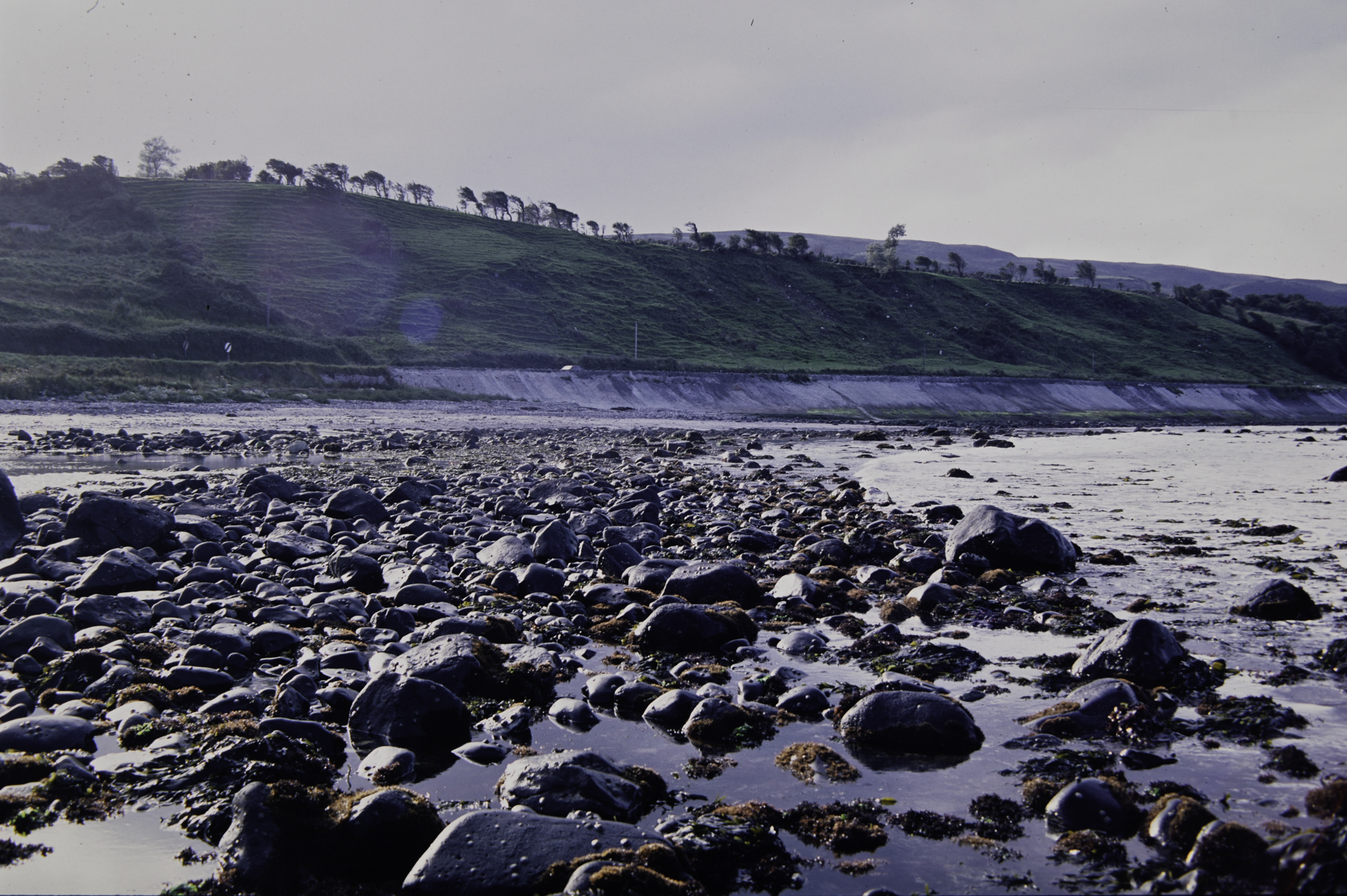 . Site: Halfway House (Ballygalley), NE Coast. 