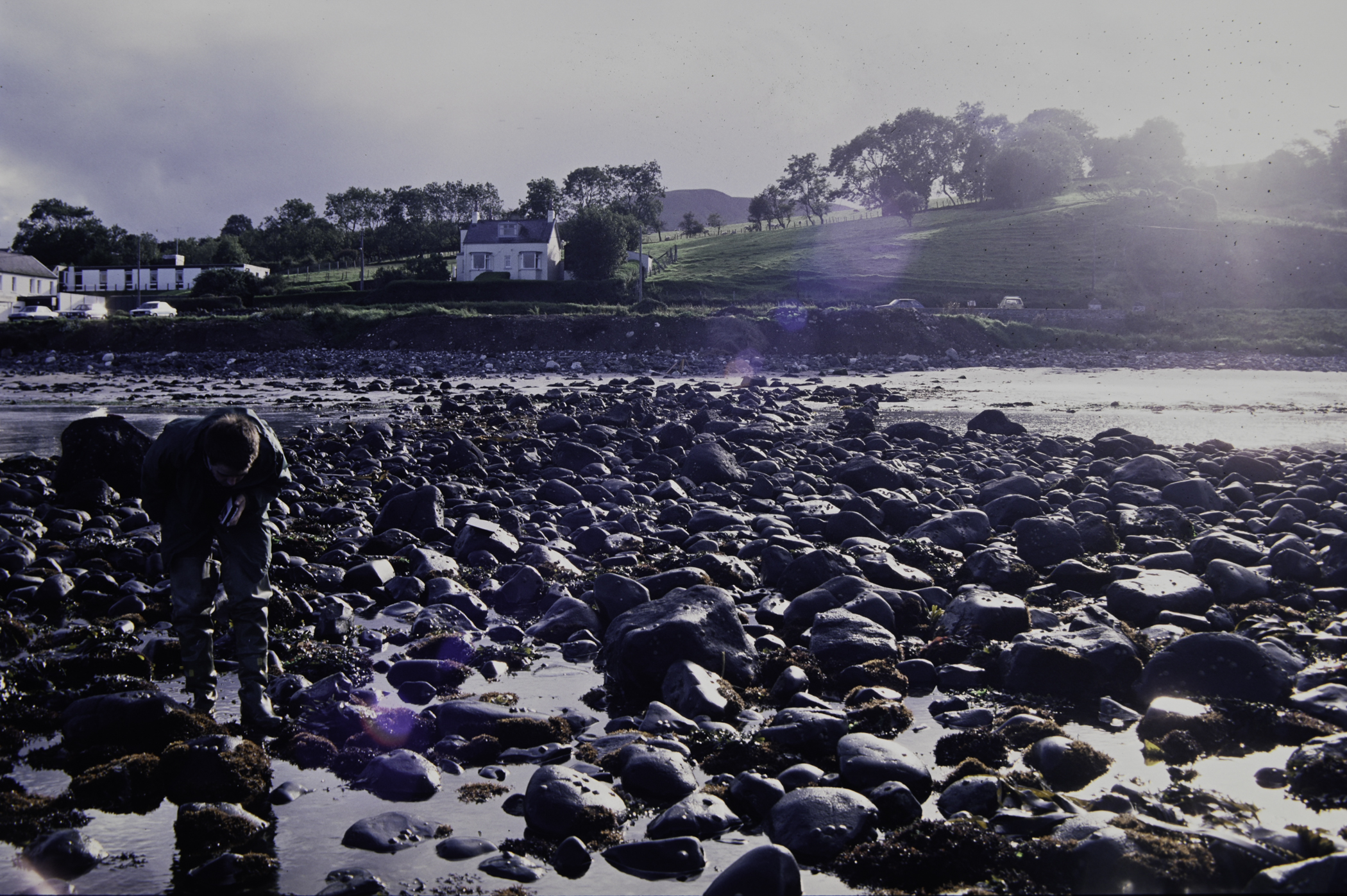 . Site: Halfway House (Ballygalley), NE Coast. 