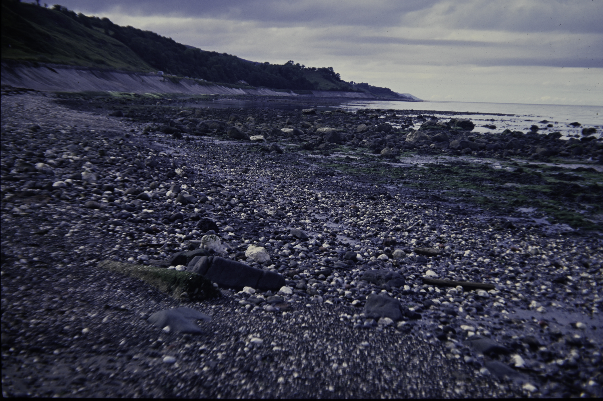 . Site: Halfway House (Ballygalley), NE Coast. 