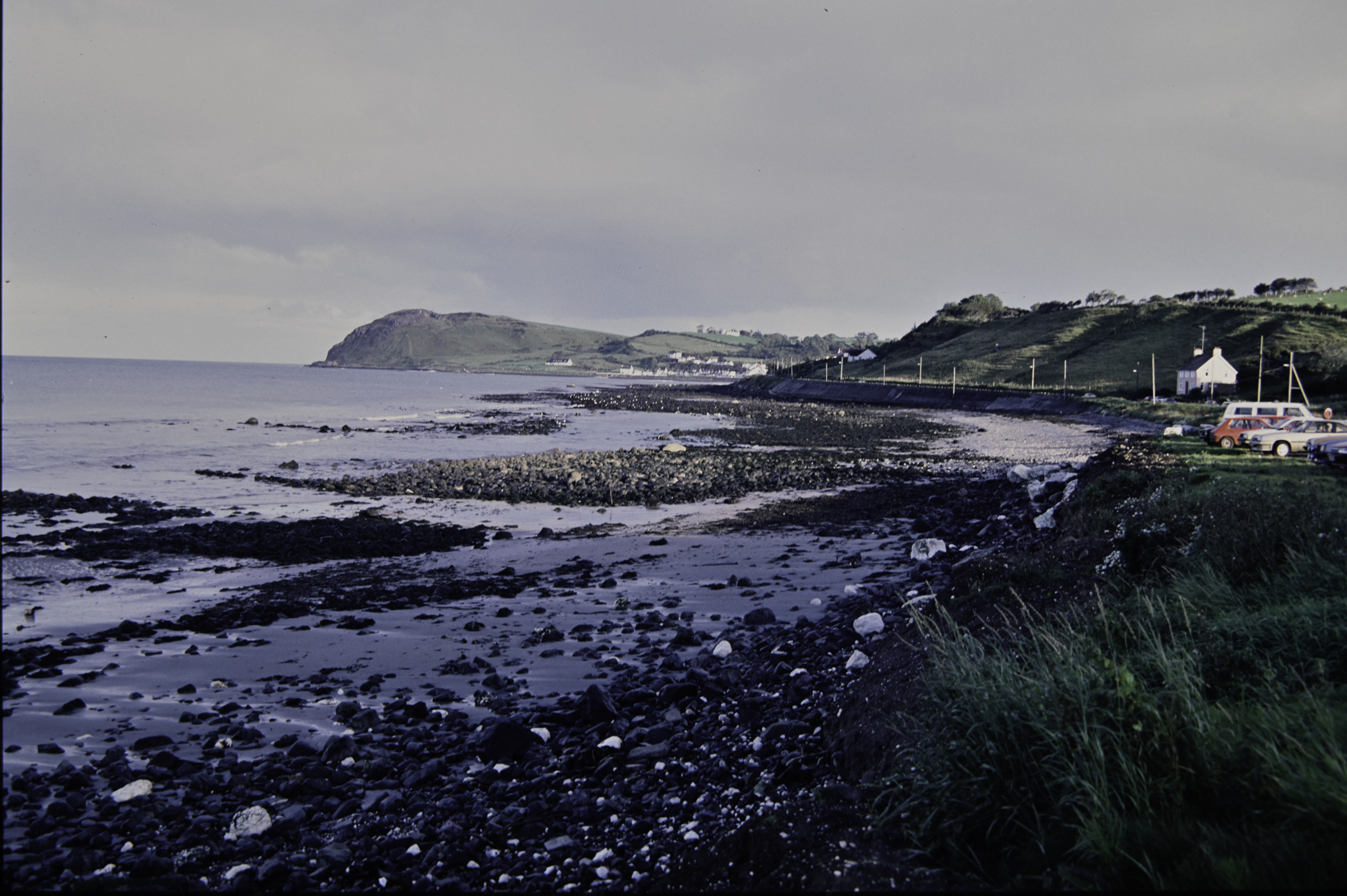 . Site: Halfway House (Ballygalley), NE Coast. 