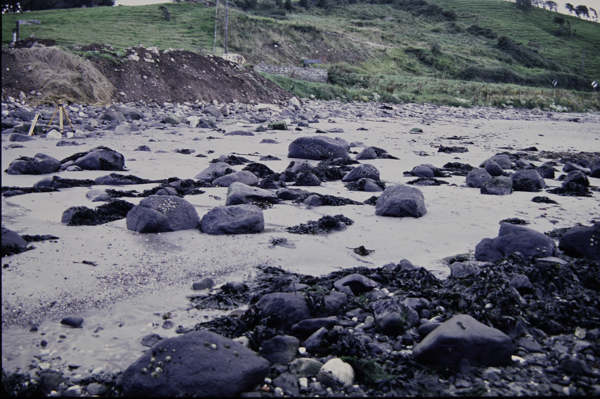 . Site: Halfway House (Ballygalley), NE Coast. 