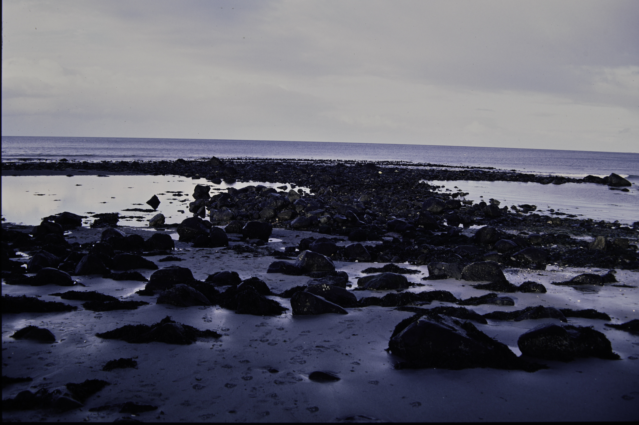 . Site: Halfway House (Ballygalley), NE Coast. 