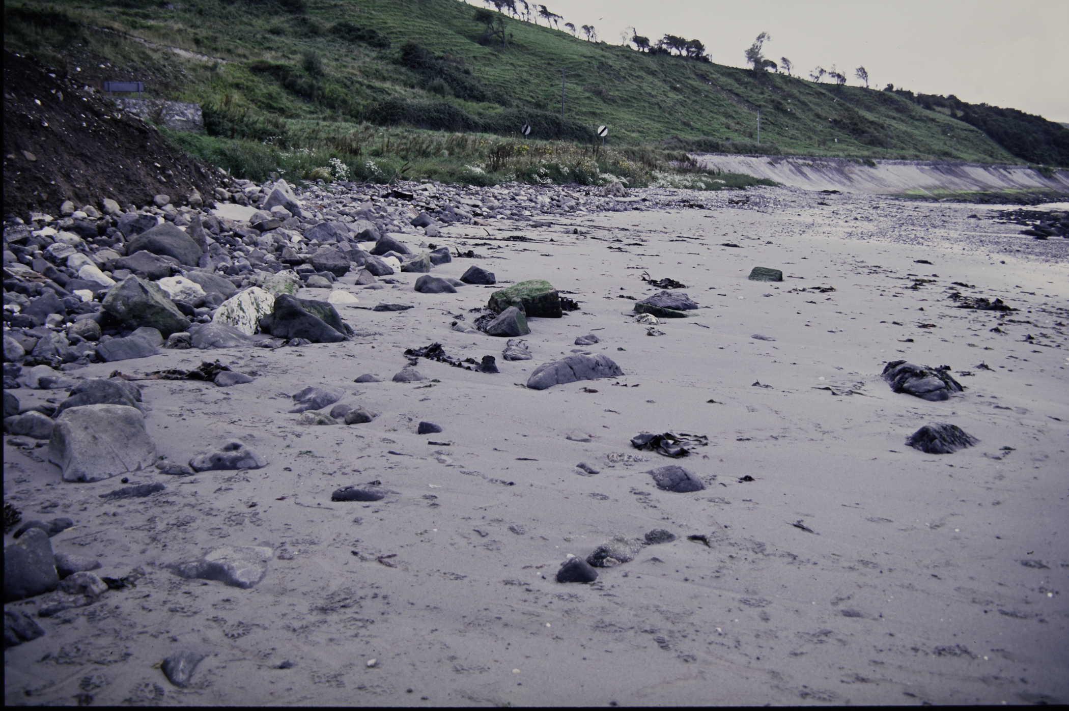 . Site: Halfway House (Ballygalley), NE Coast. 