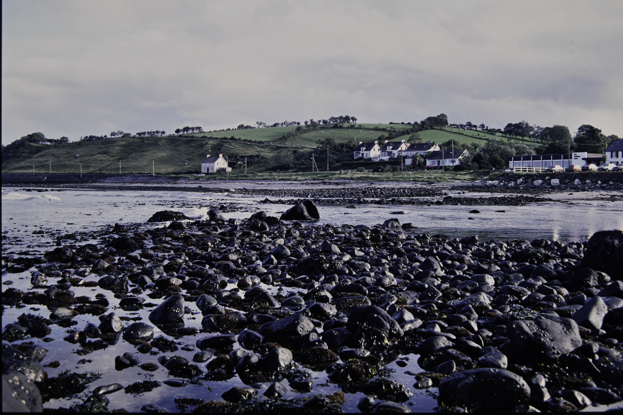 . Site: Halfway House (Ballygalley), NE Coast. 