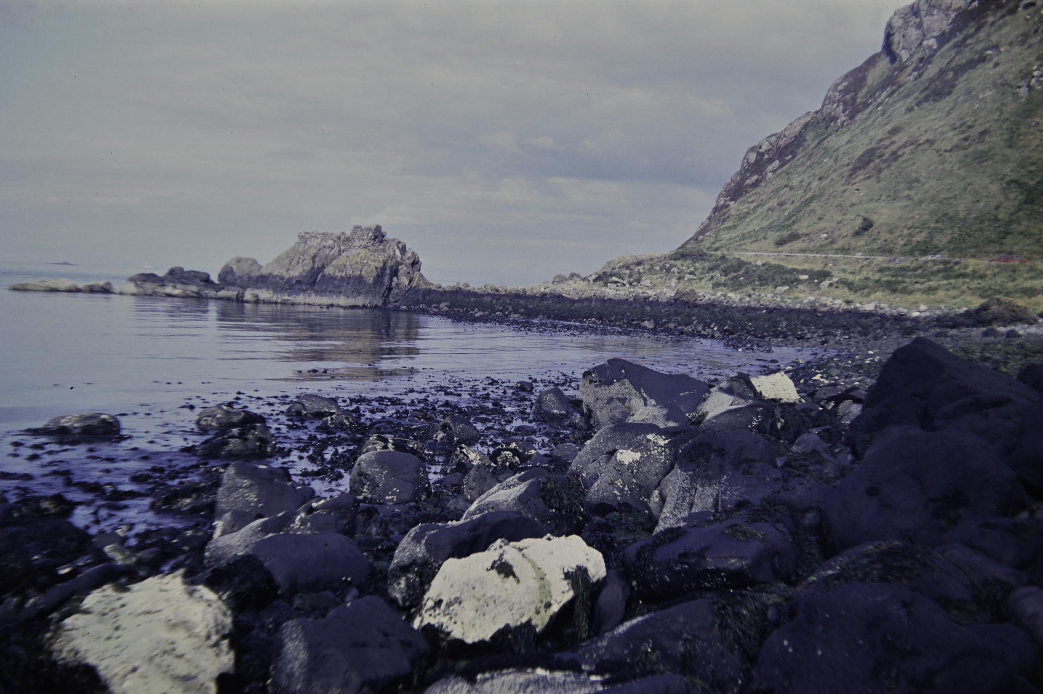 . Site: Ballygalley Head, NE Coast. 