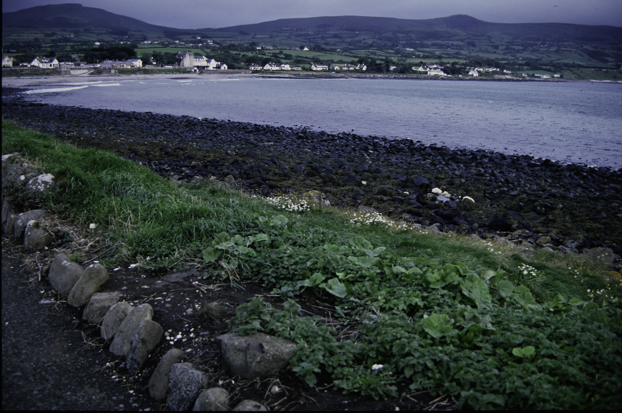 . Site: Ballygalley Head, NE Coast. 