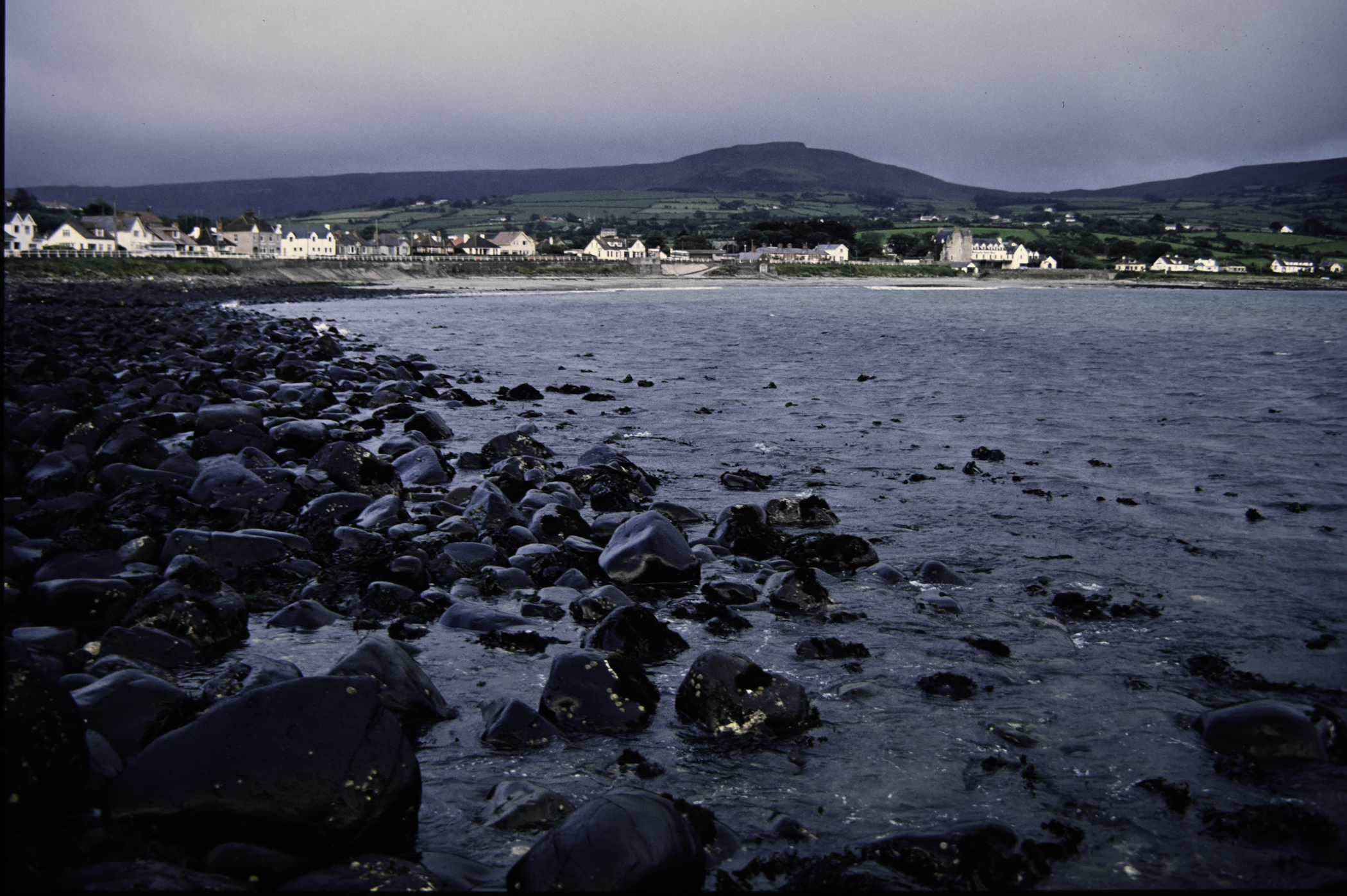 . Site: Ballygalley Head, NE Coast. 