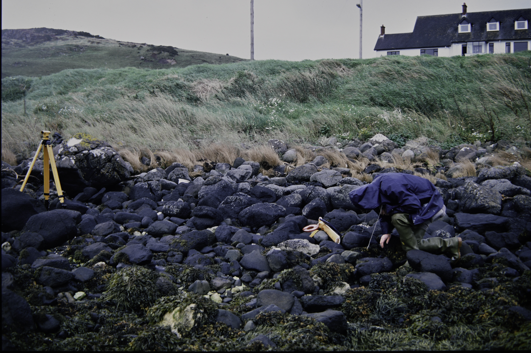 . Site: Ballygalley Head, NE Coast. 