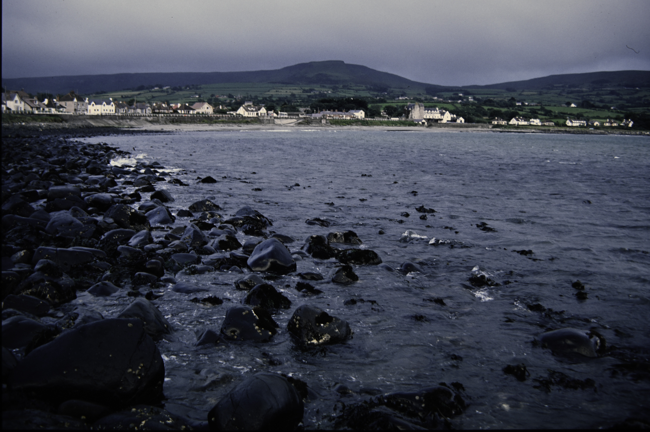 . Site: Ballygalley Head, NE Coast. 