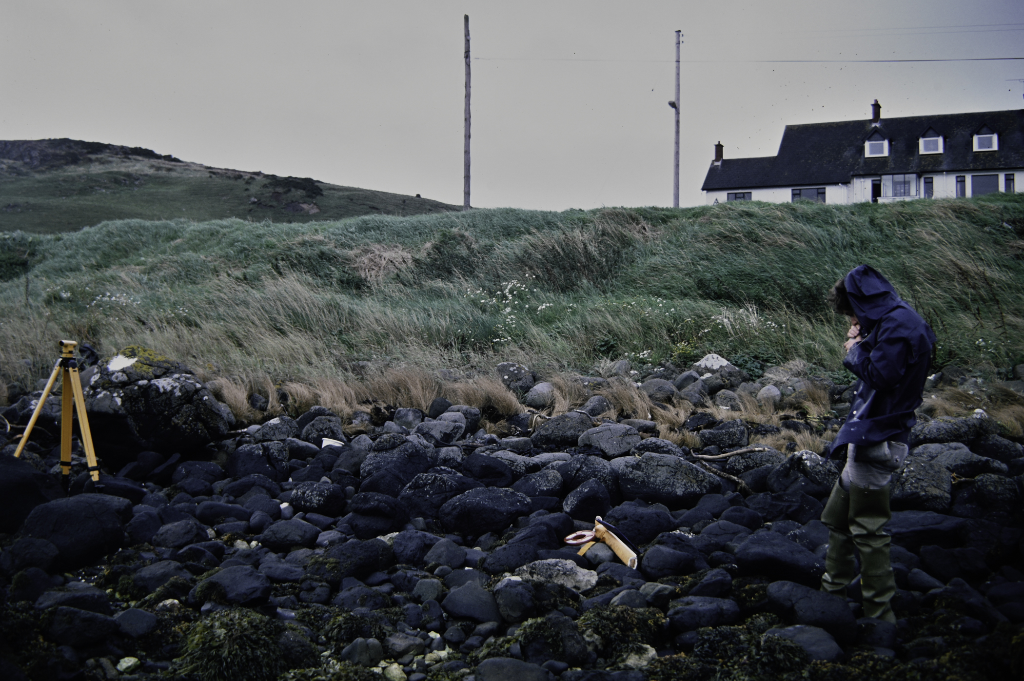 . Site: Ballygalley Head, NE Coast. 