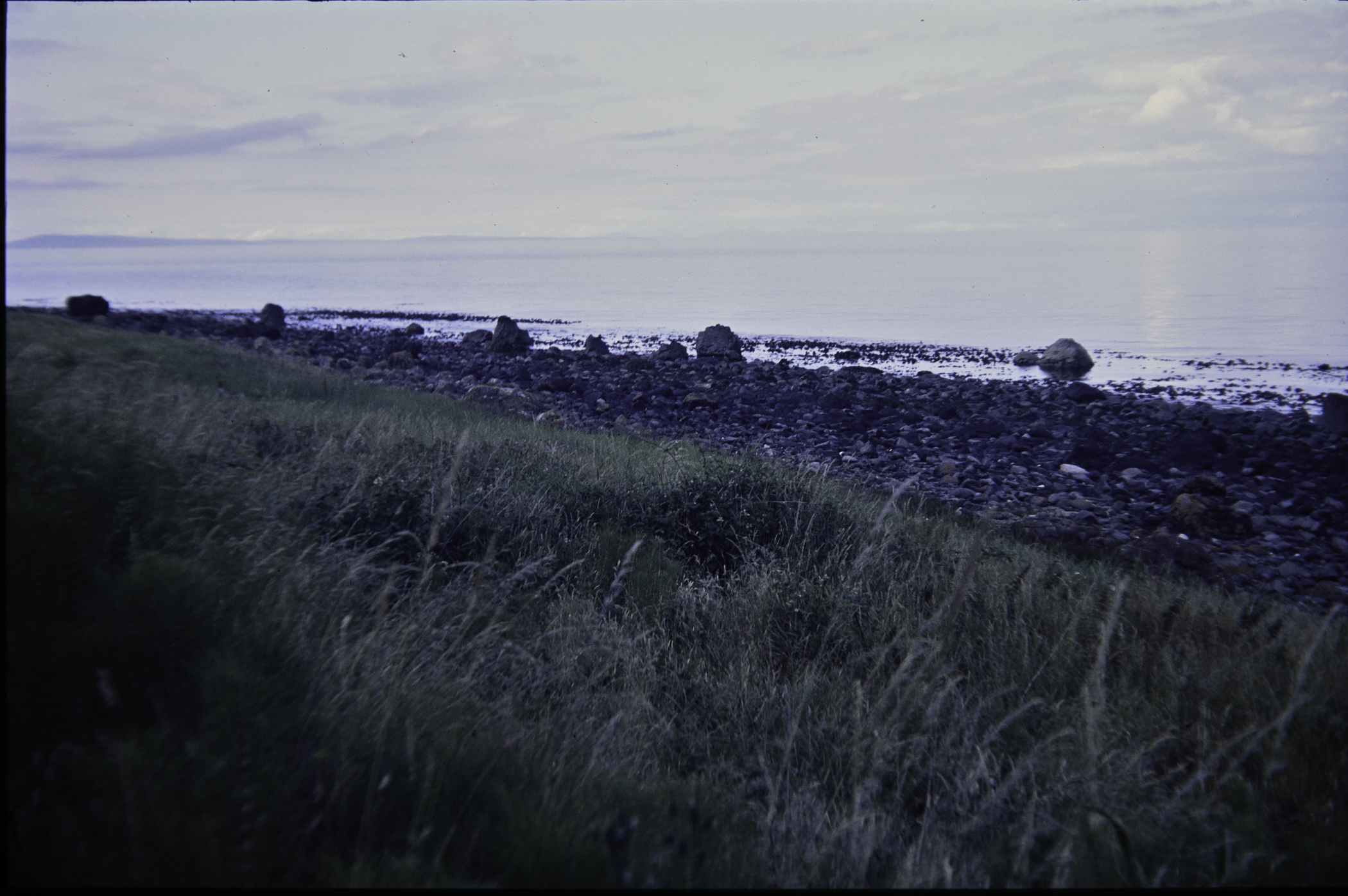 . Site: Carnfunnock Bay, NE Coast. 