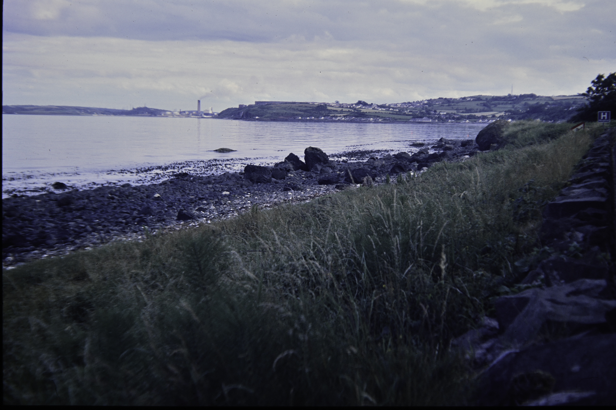 . Site: Carnfunnock Bay, NE Coast. 