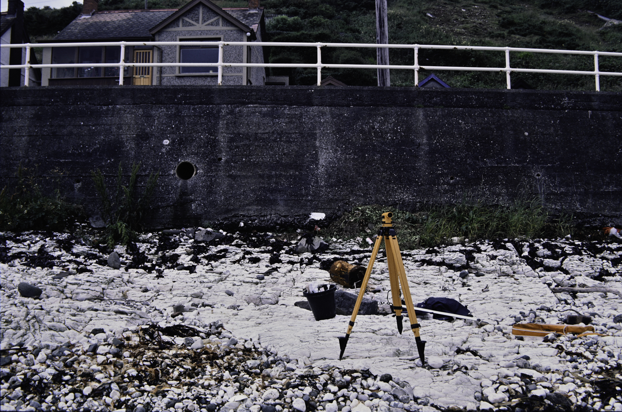 . Site: Seacourt, NE Coast. 