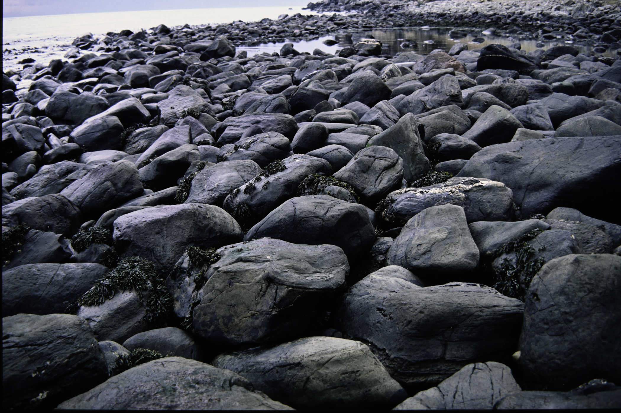 . Site: Port More (Loughan), NE Coast. 