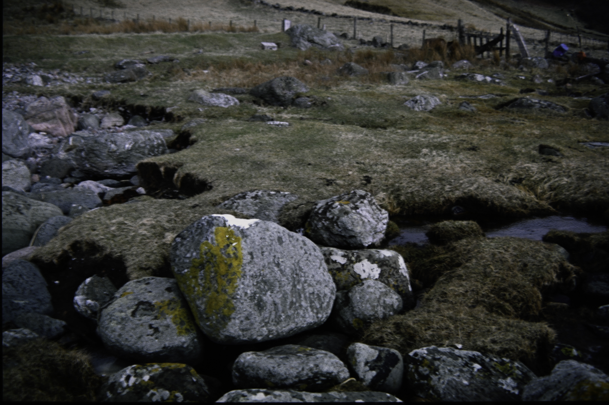 . Site: Port More (Loughan), NE Coast. 