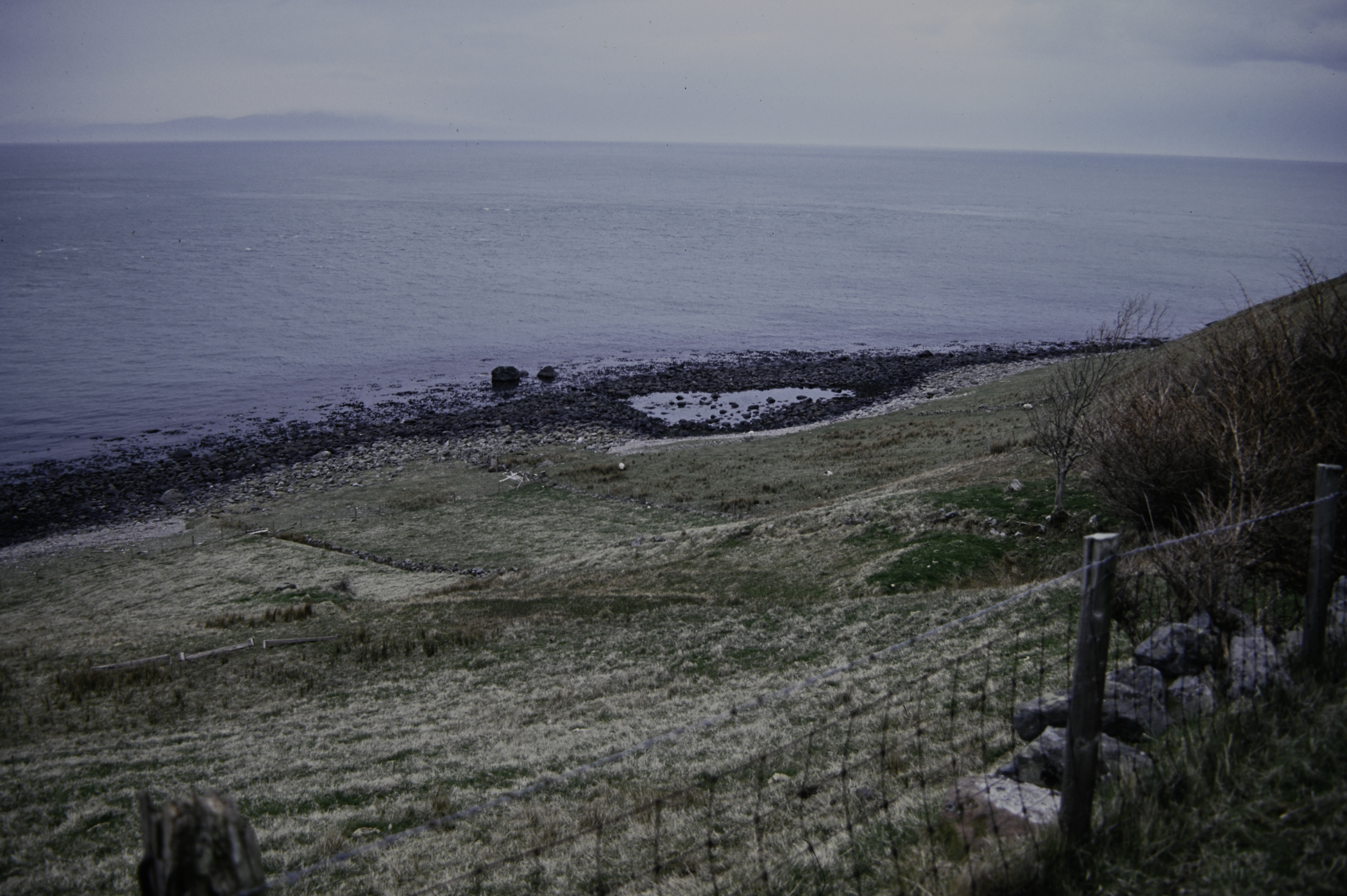 . Site: Port More (Loughan), NE Coast. 