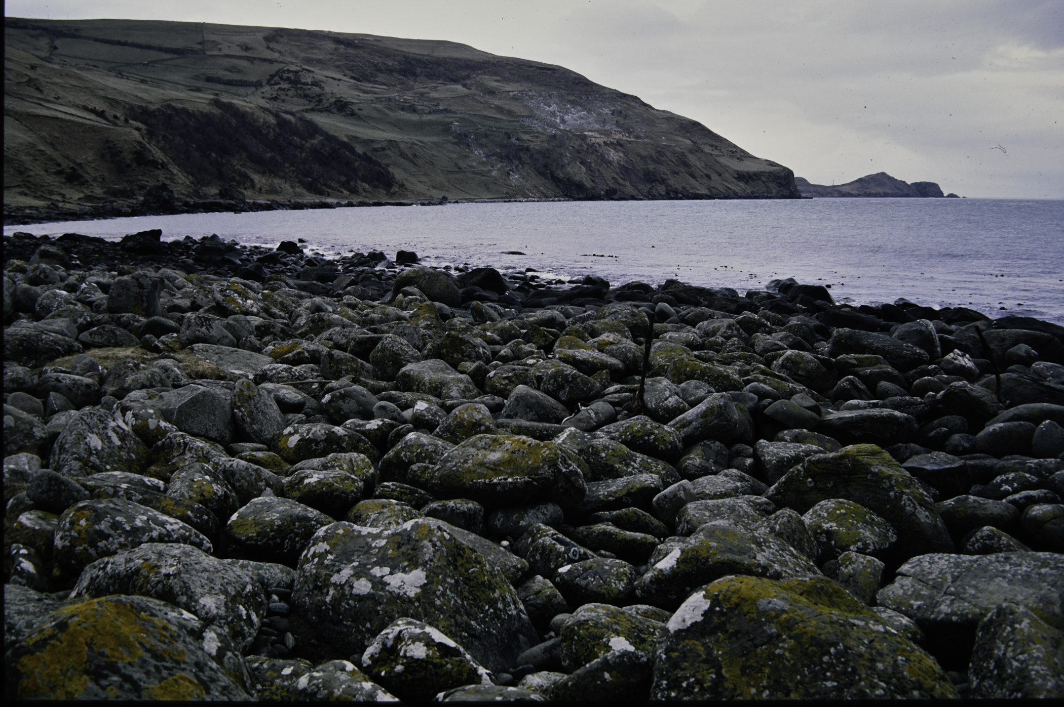 . Site: Port More (Loughan), NE Coast. 