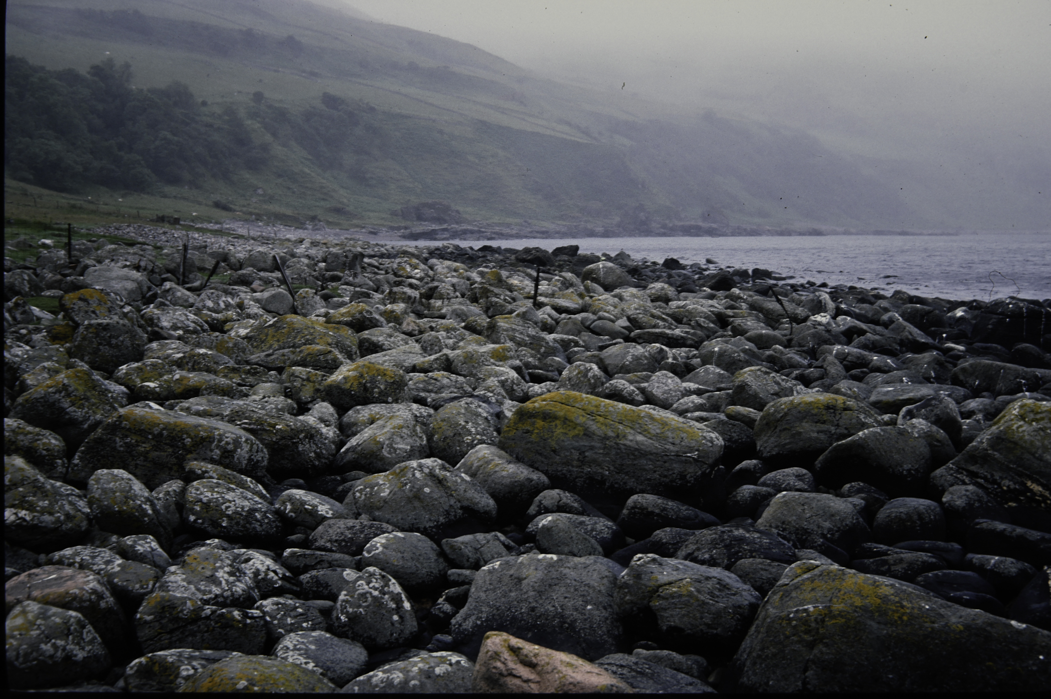 . Site: Port More (Loughan), NE Coast. 