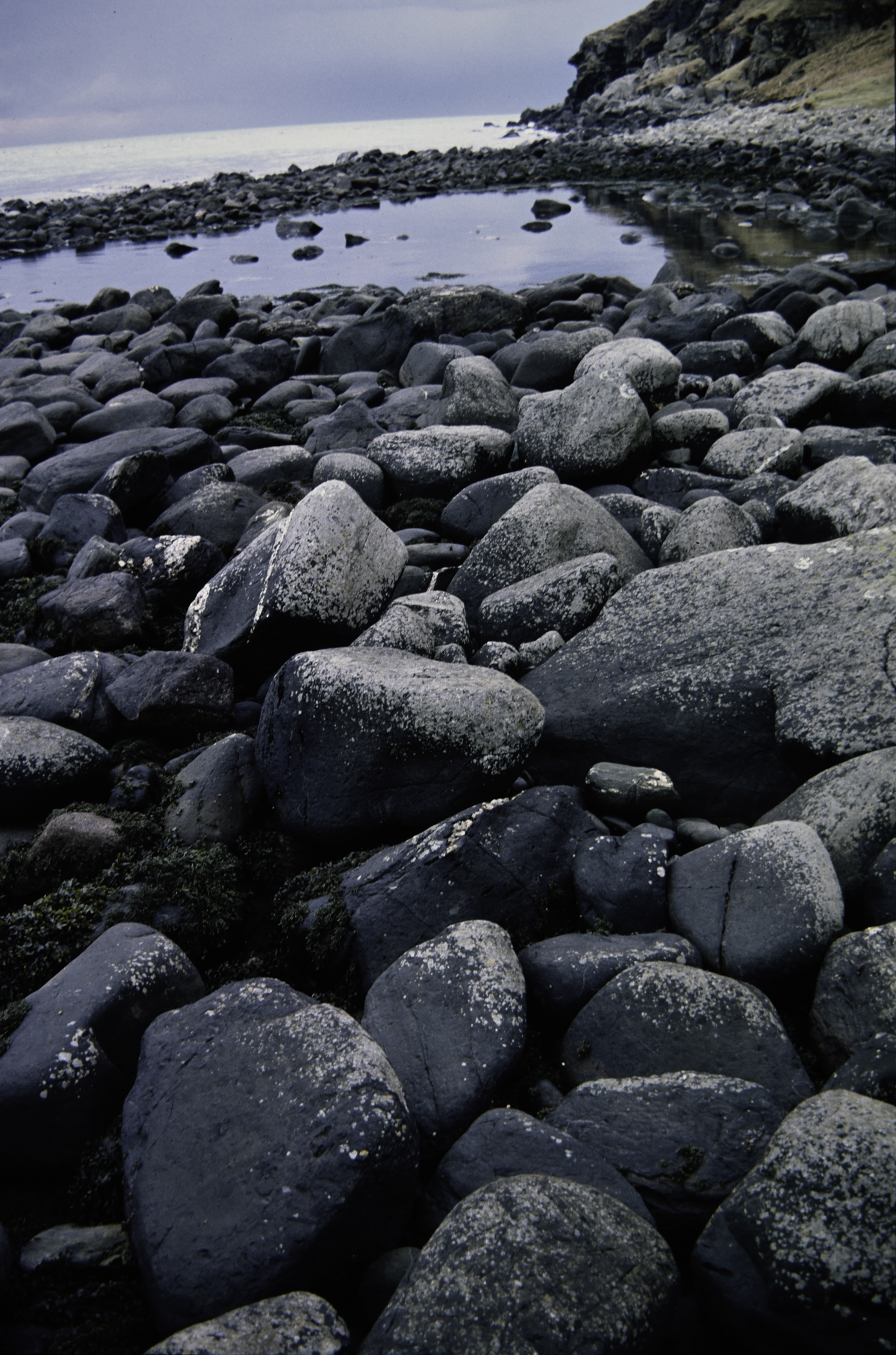 . Site: Port More (Loughan), NE Coast. 