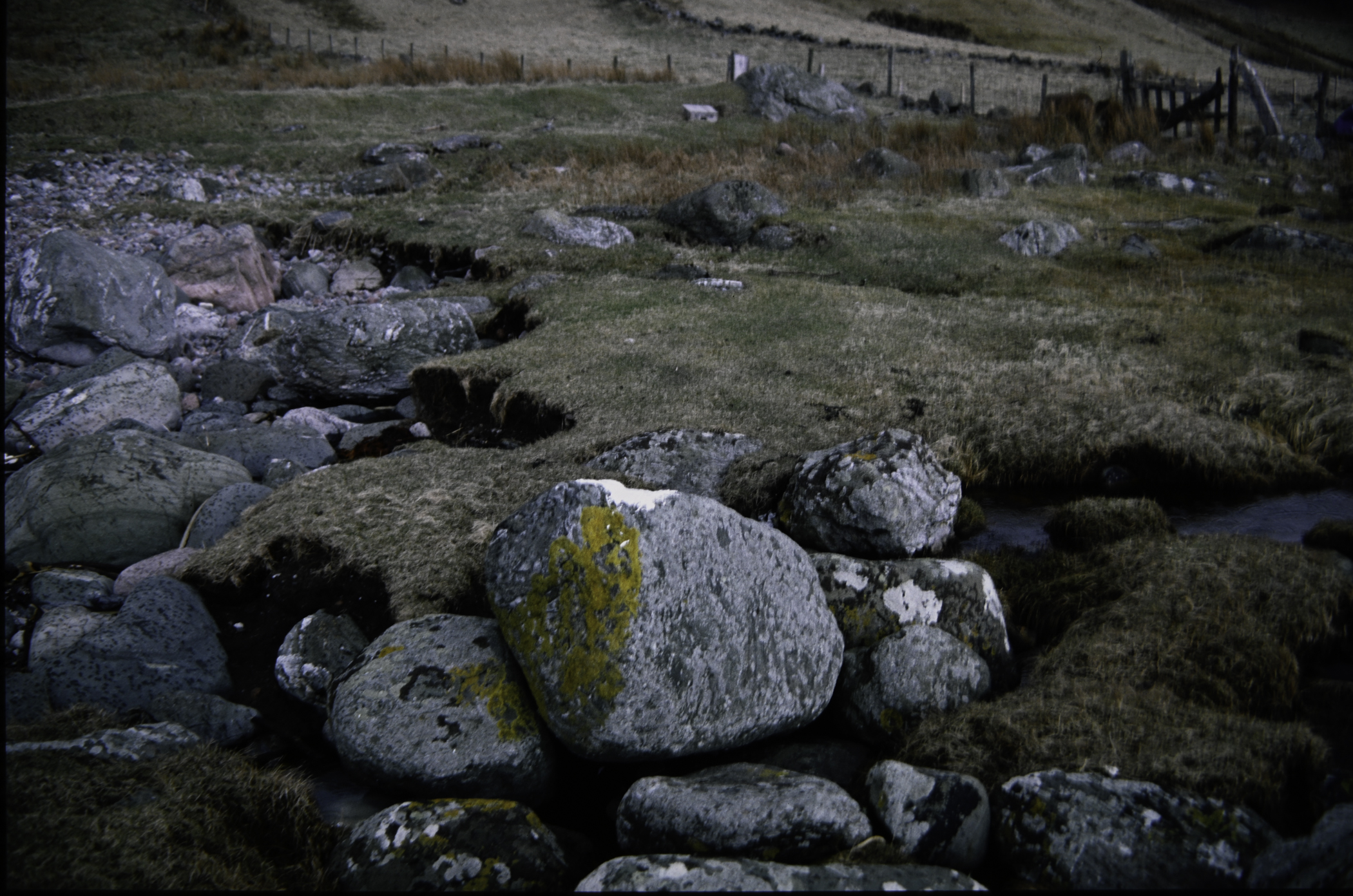 . Site: Port More (Loughan), NE Coast. 