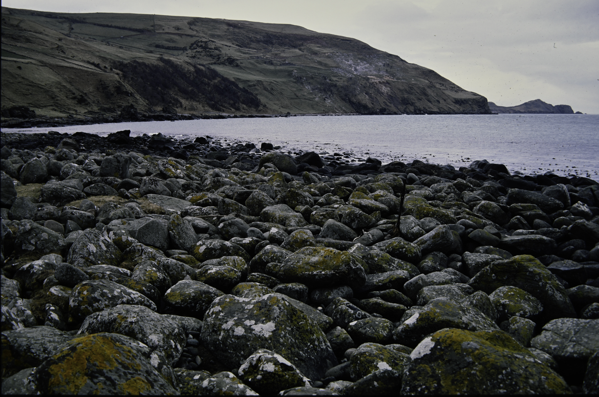 . Site: Port More (Loughan), NE Coast. 