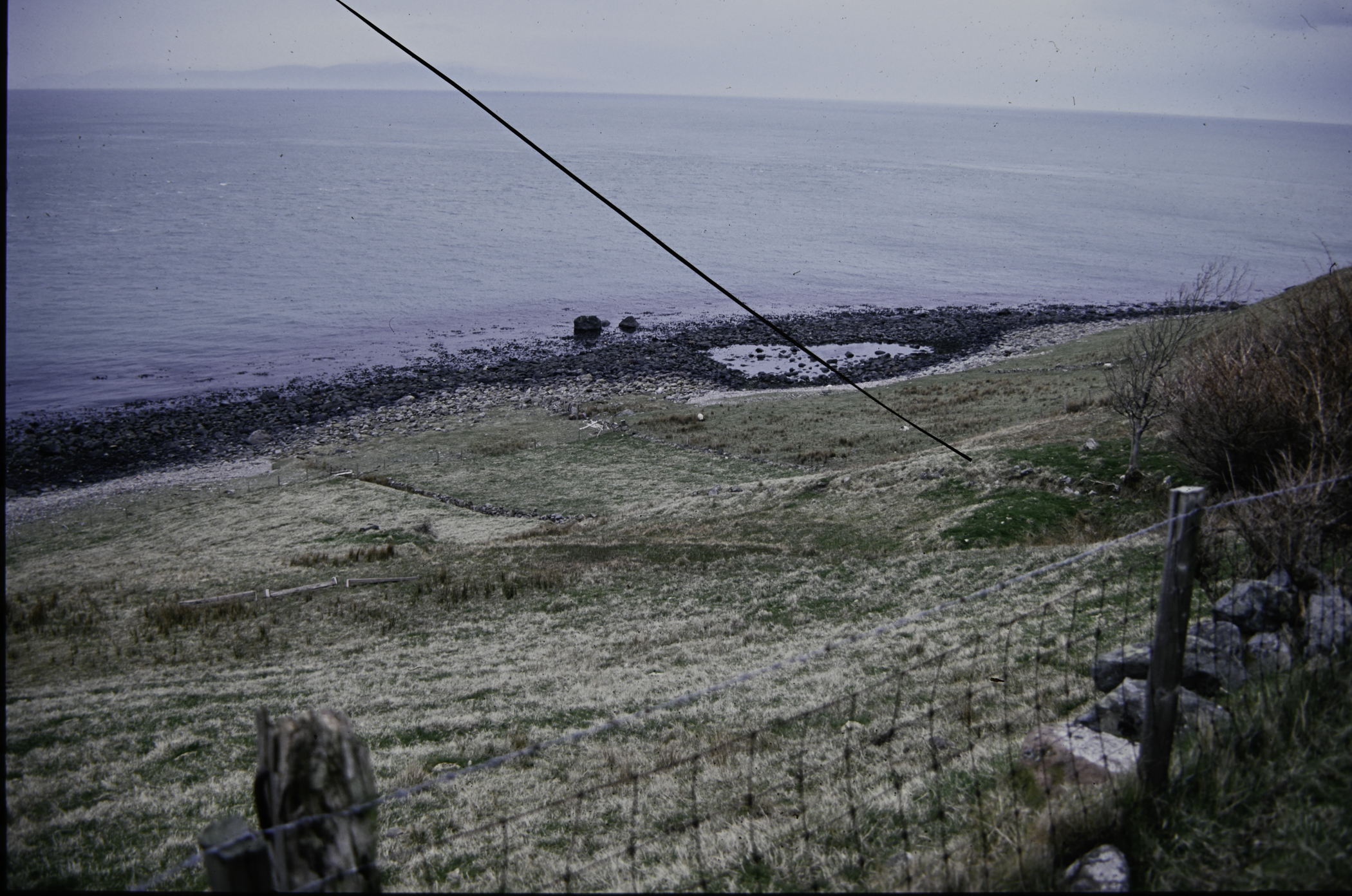 . Site: Port More (Loughan), NE Coast. 