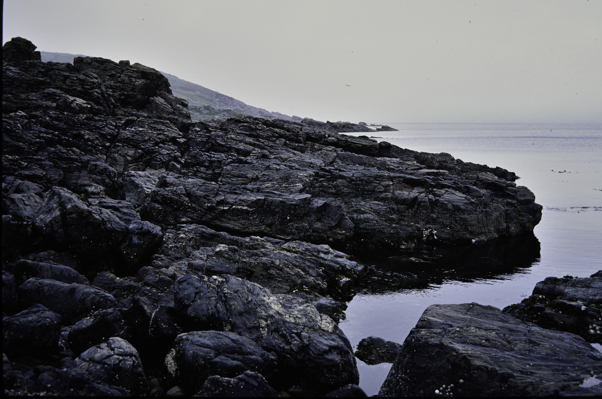 . Site: Cushendun North, NE Coast. 