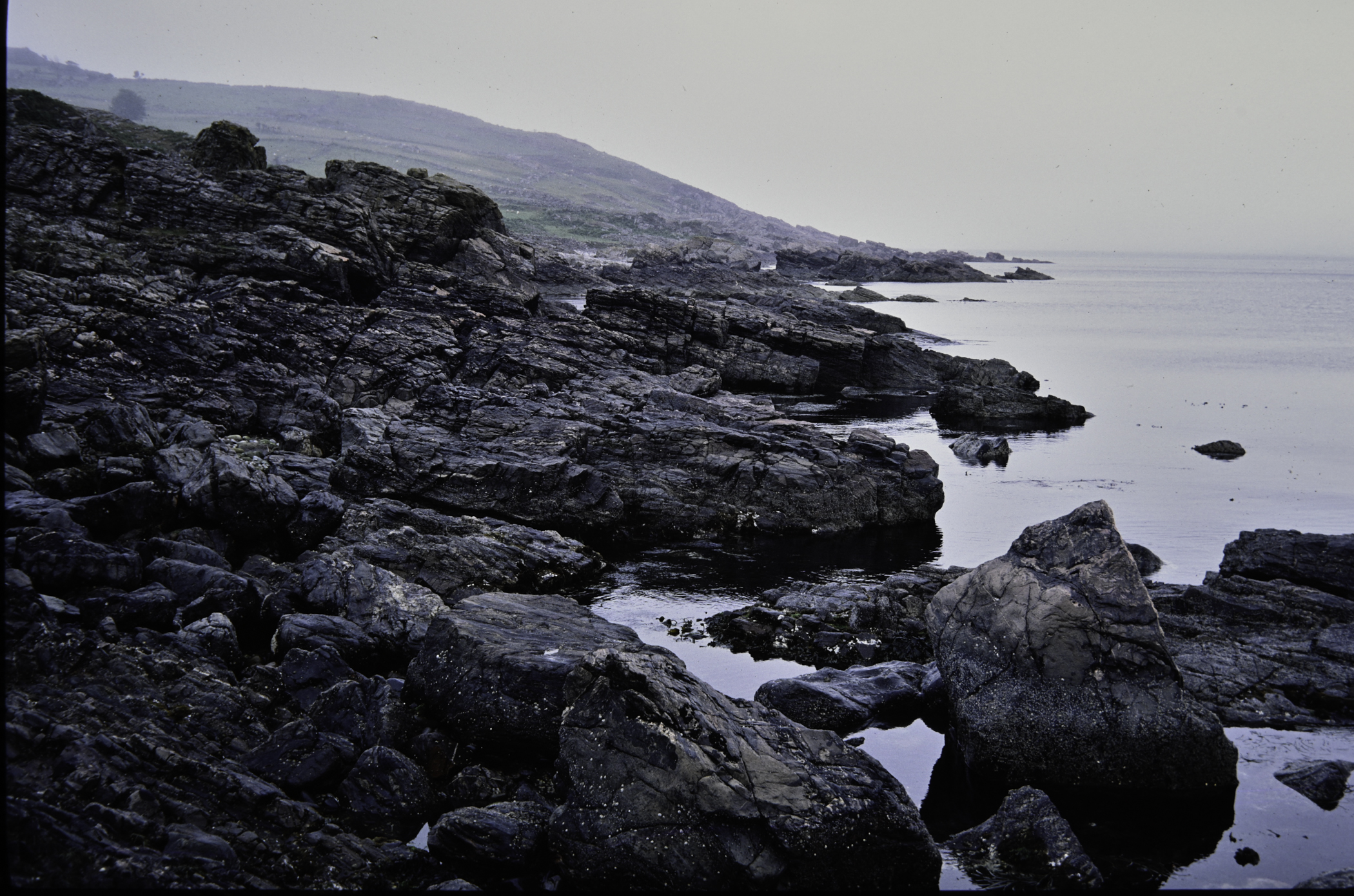 . Site: Cushendun North, NE Coast. 