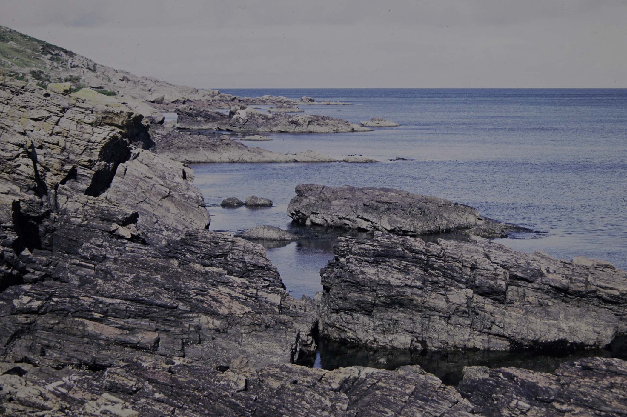 . Site: Cushendun North, NE Coast. 