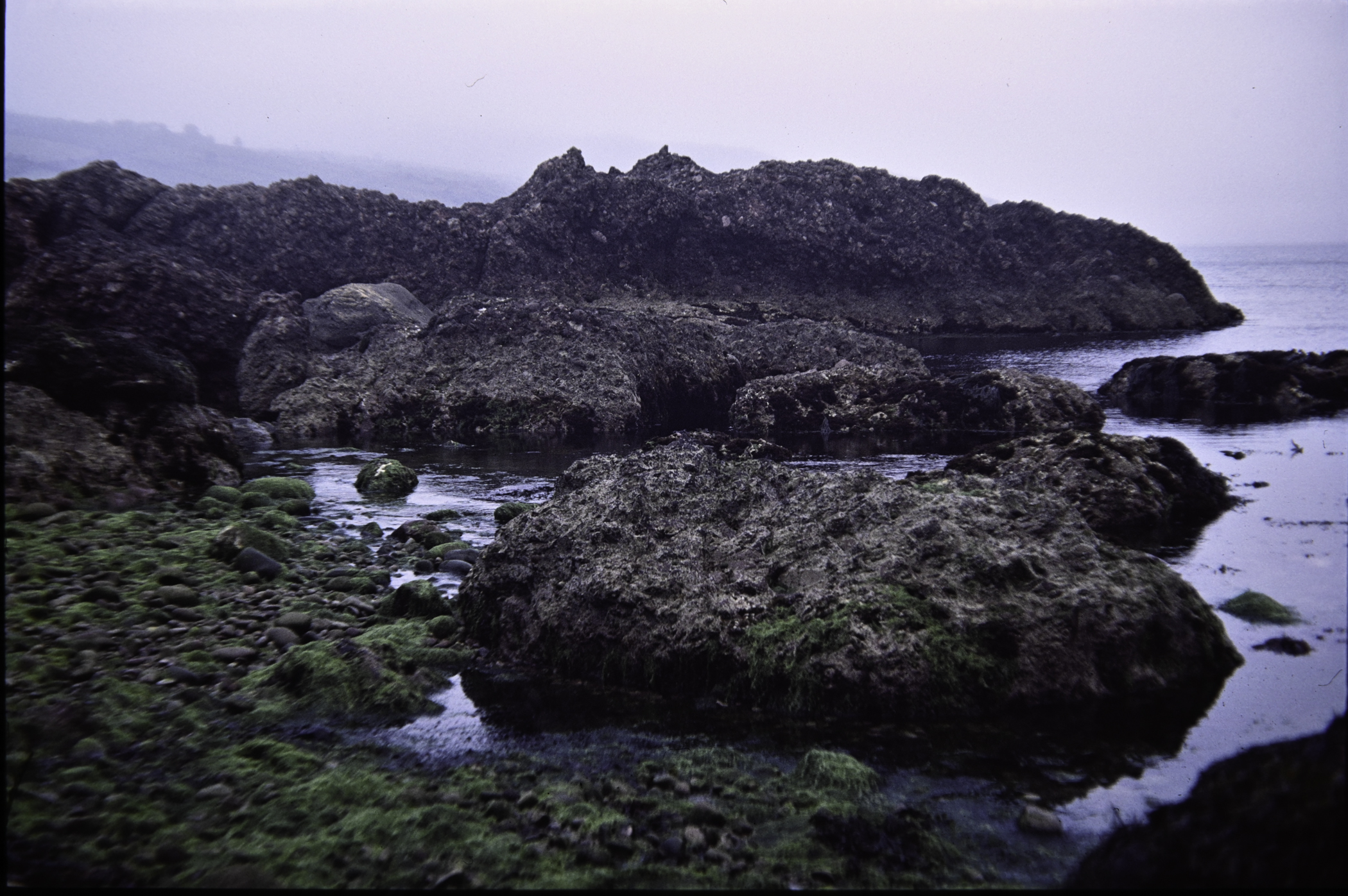 . Site: Cushendun South, NE Coast. 