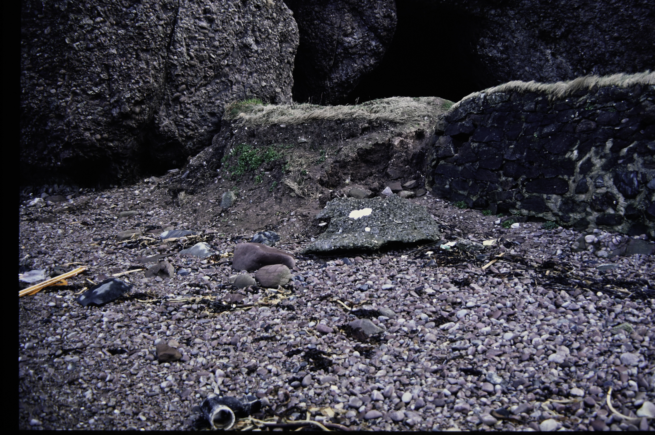 . Site: Cushendun South, NE Coast. 