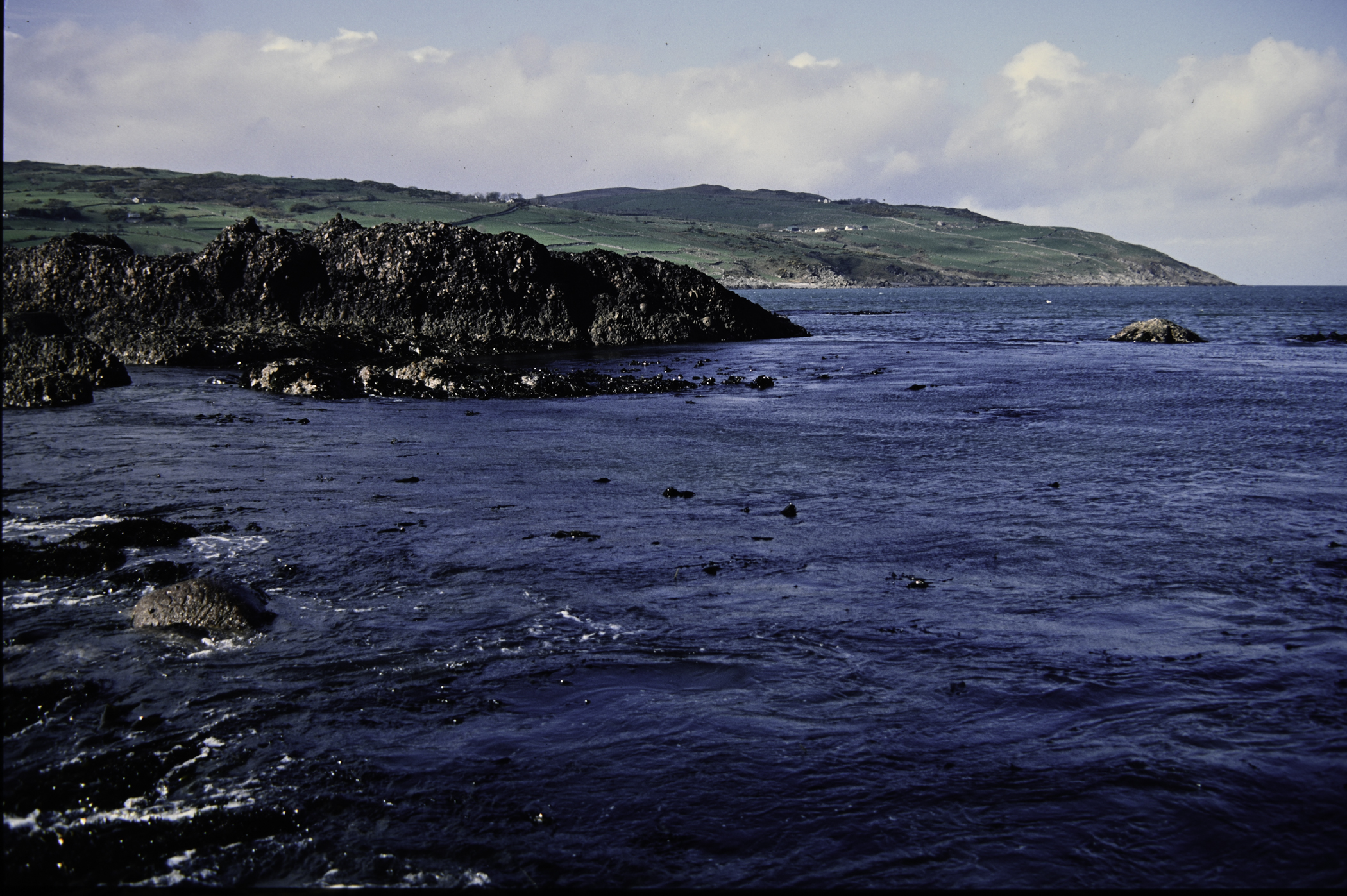 . Site: Cushendun South, NE Coast. 