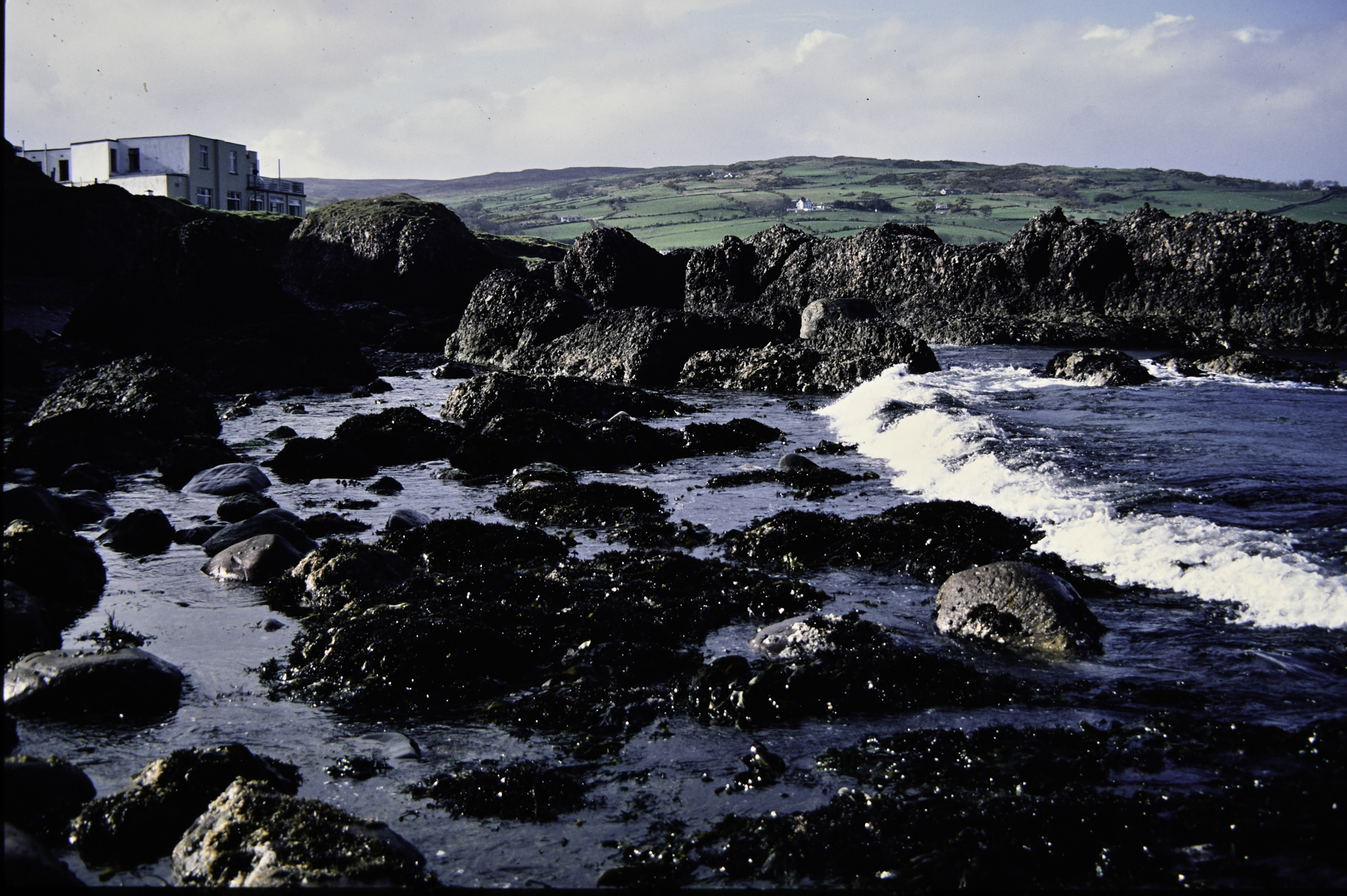 . Site: Cushendun South, NE Coast. 