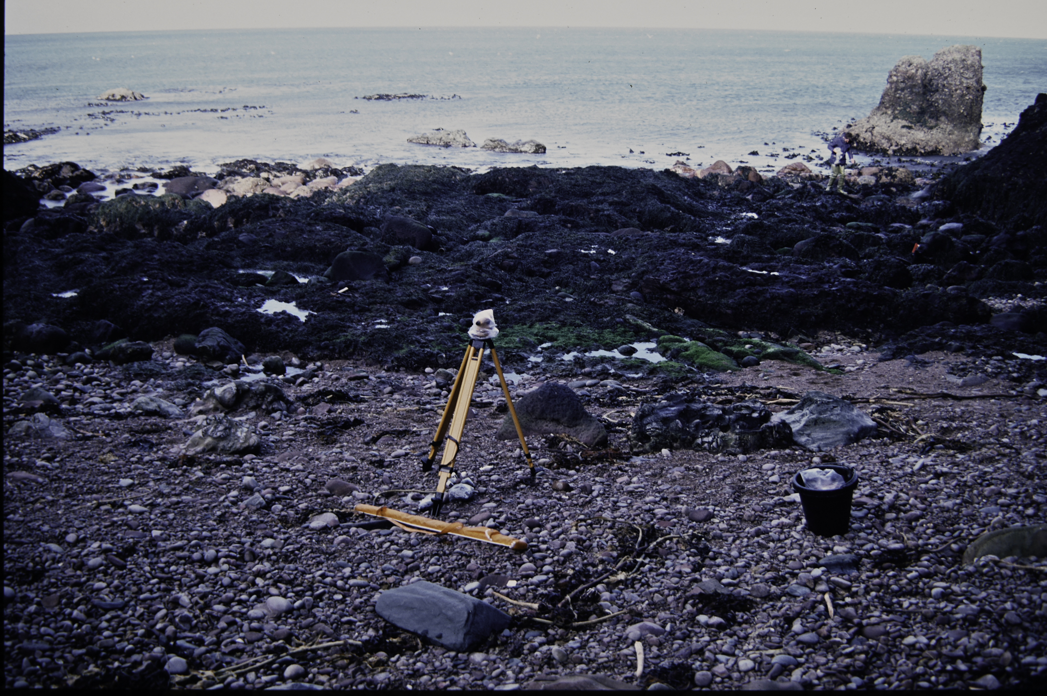 . Site: Cushendun South, NE Coast. 