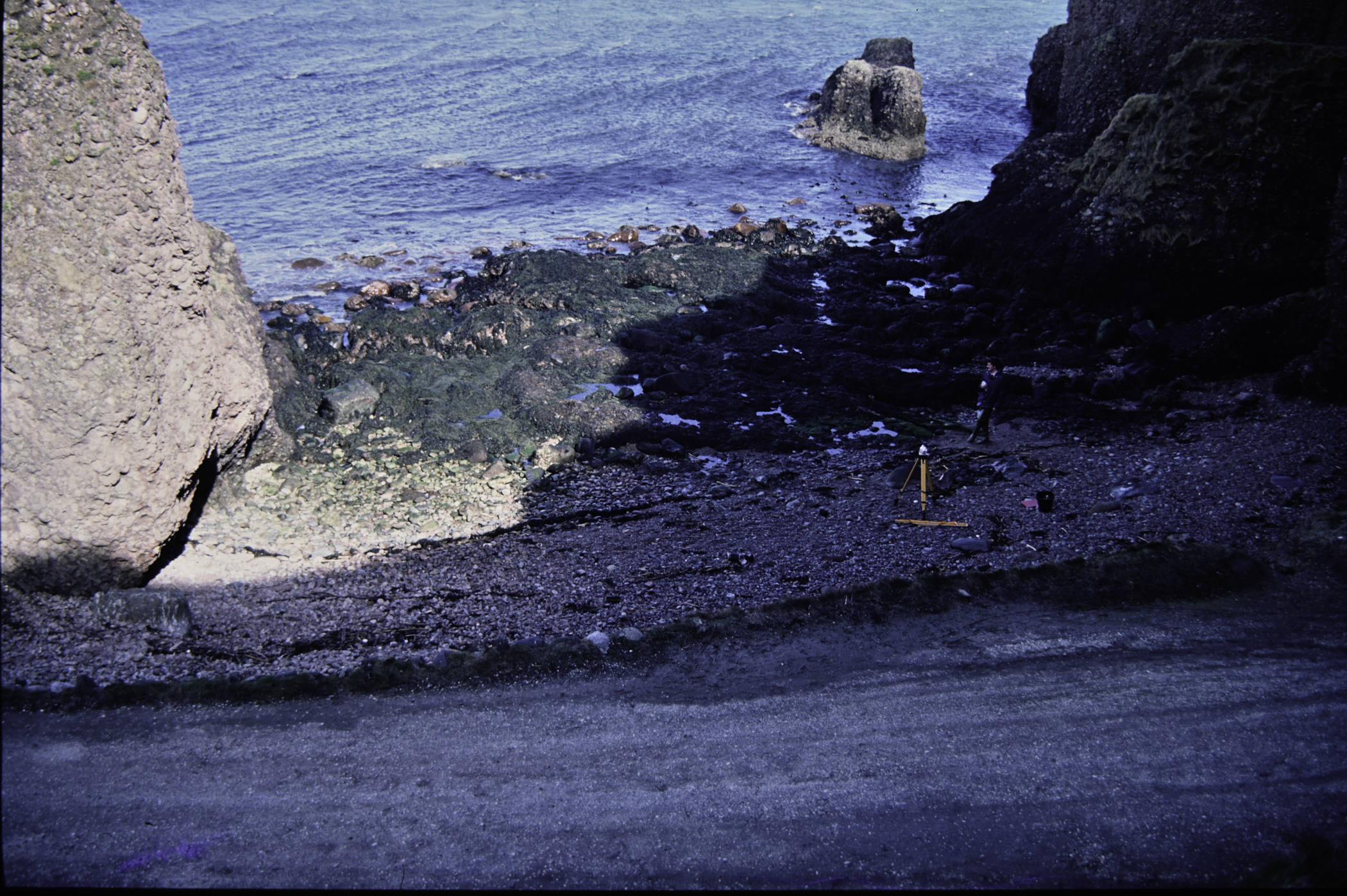 . Site: Cushendun South, NE Coast. 