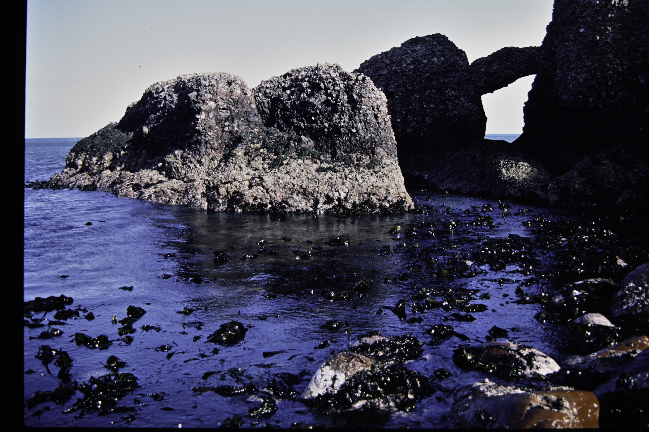 . Site: Cushendun South, NE Coast. 