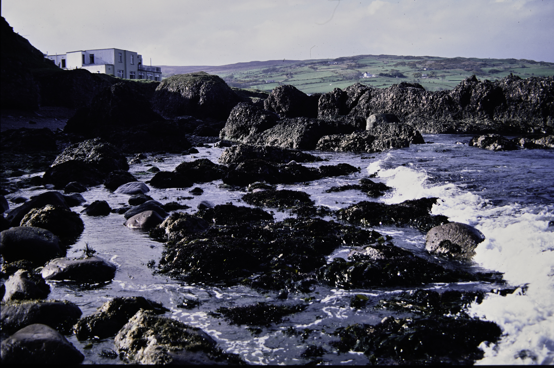 . Site: Cushendun South, NE Coast. 