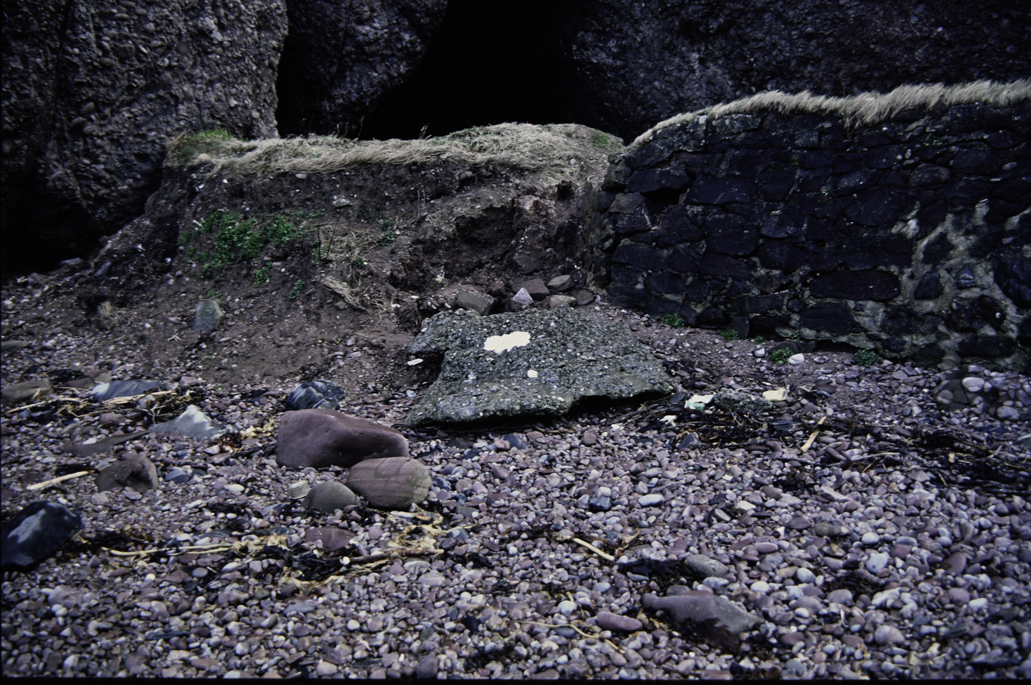 . Site: Cushendun South, NE Coast. 