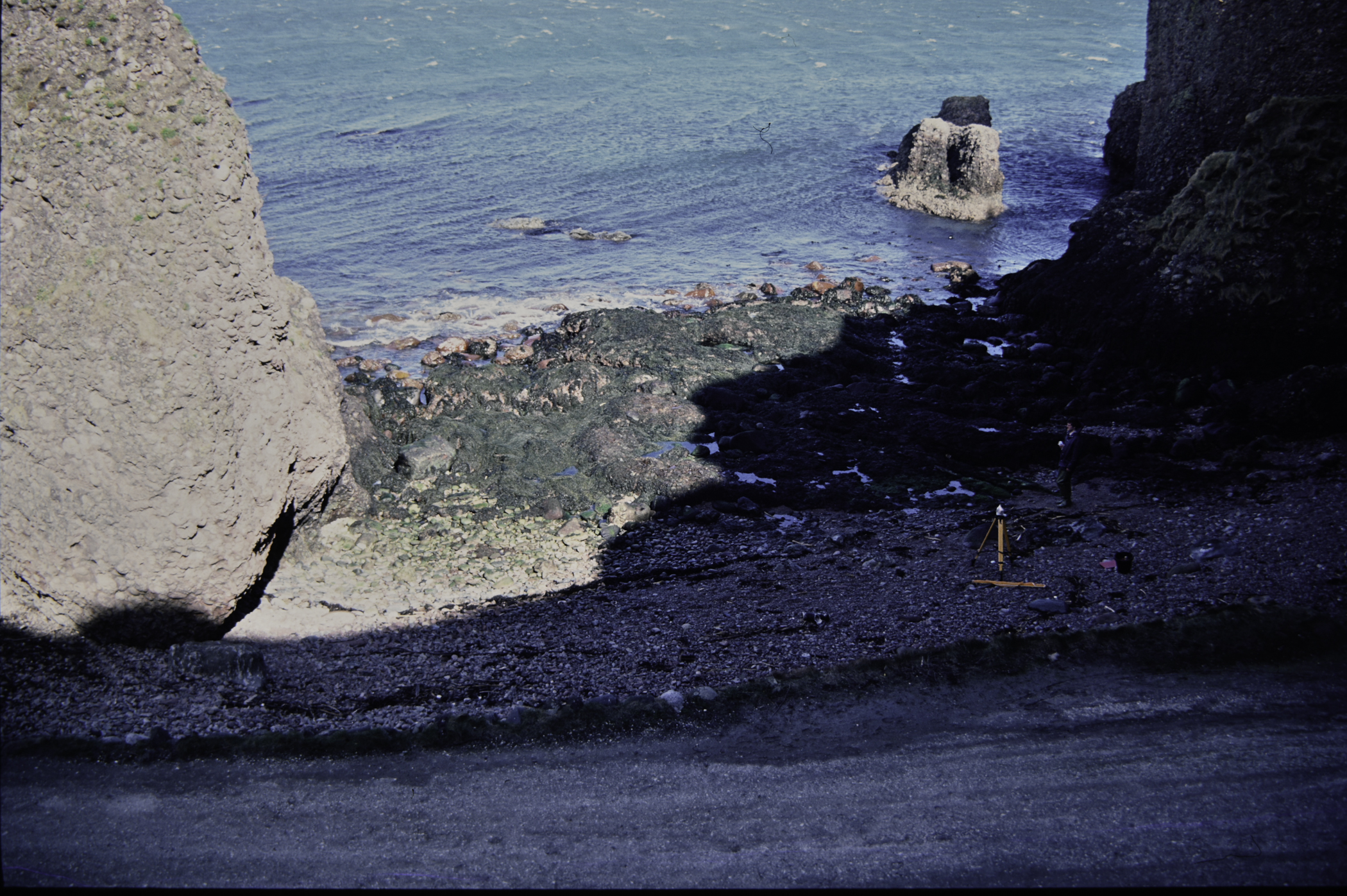 . Site: Cushendun South, NE Coast. 