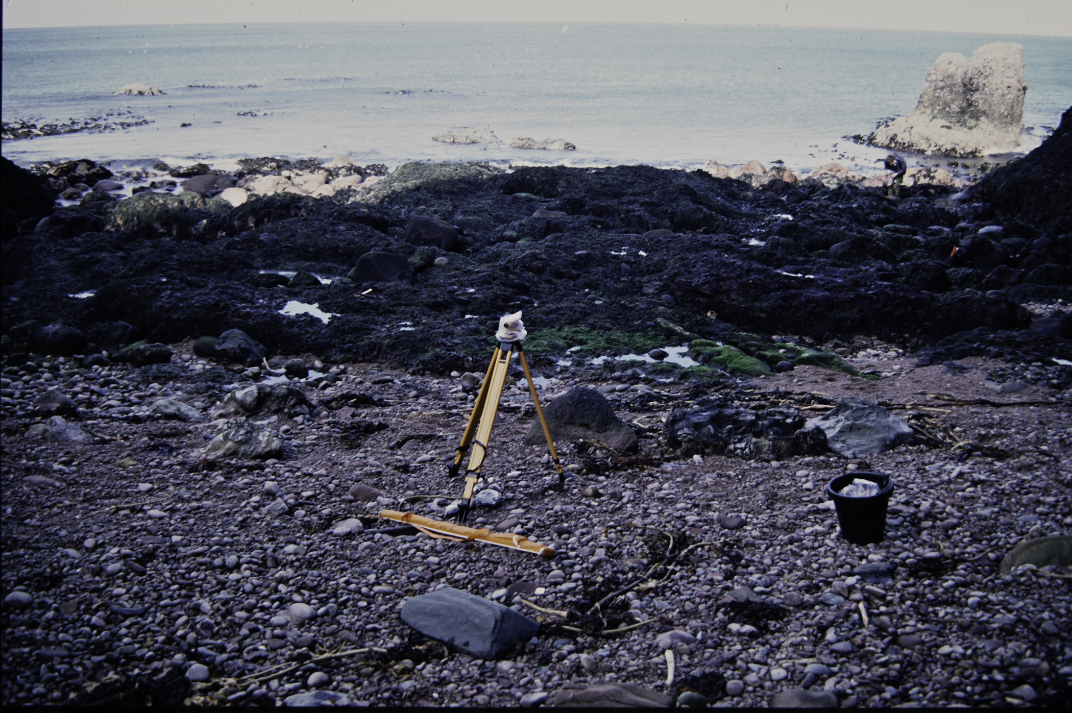 . Site: Cushendun South, NE Coast. 