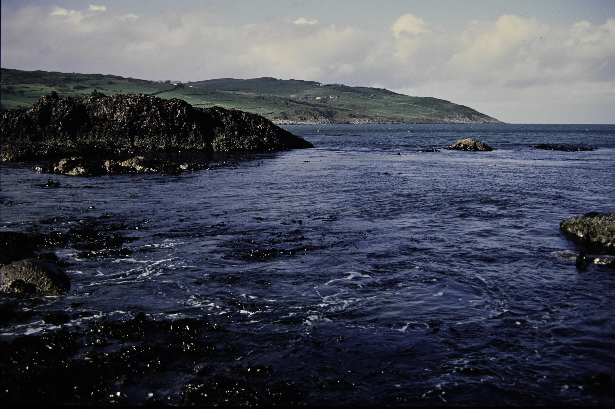 . Site: Cushendun South, NE Coast. 