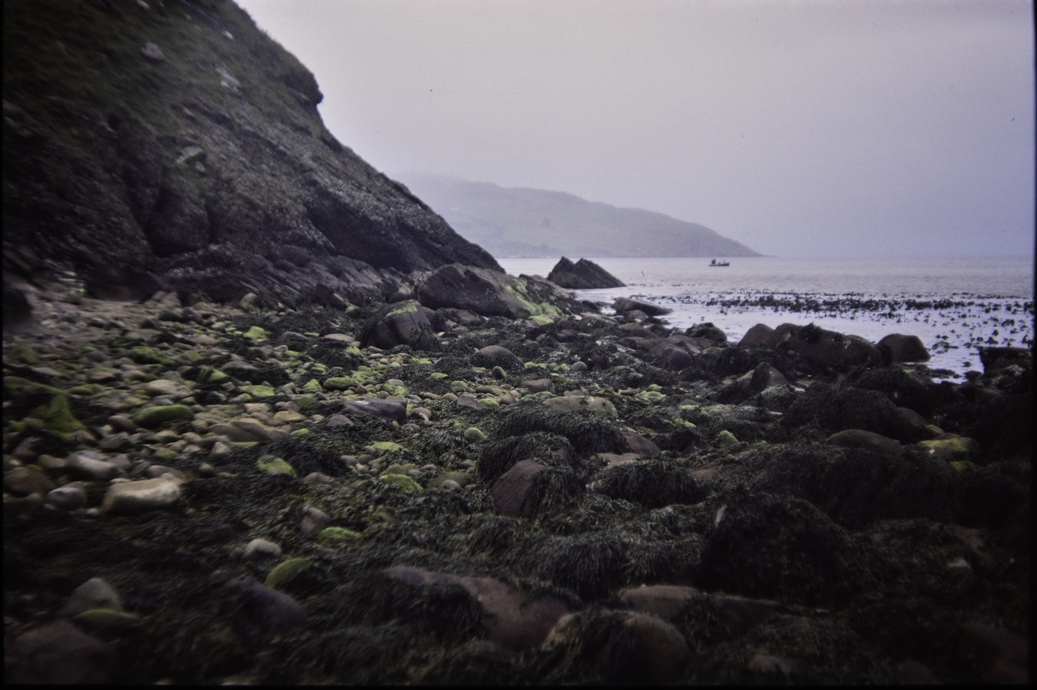 . Site: Cave House shore, NE Coast. 