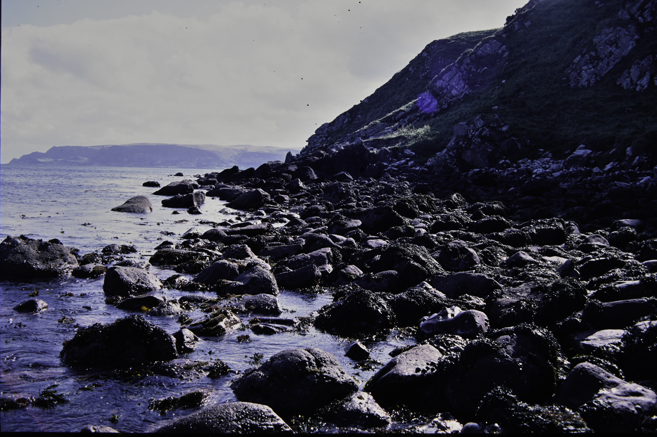 . Site: Cave House shore, NE Coast. 