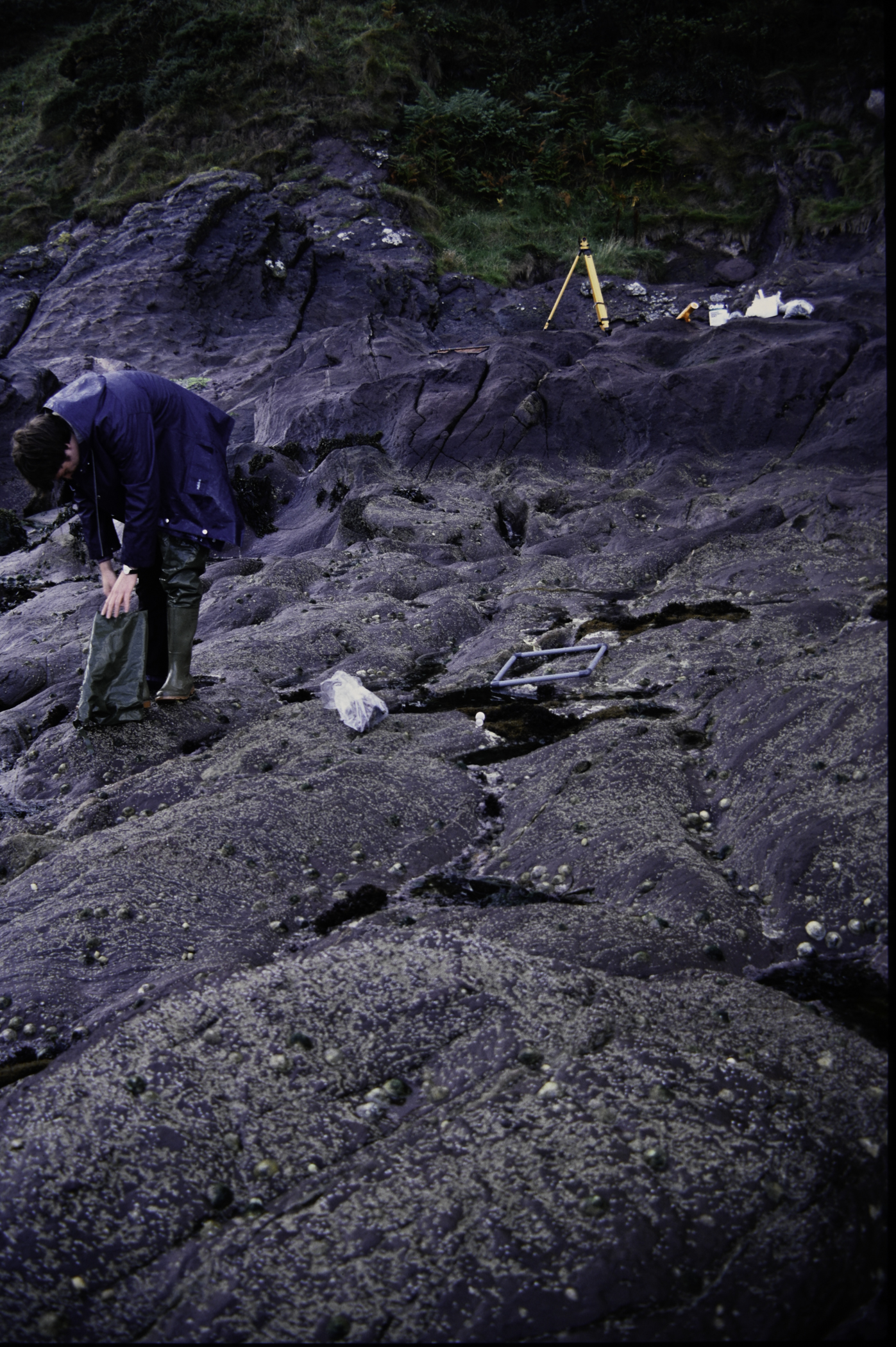 . Site: Layd Church, NE Coast. 